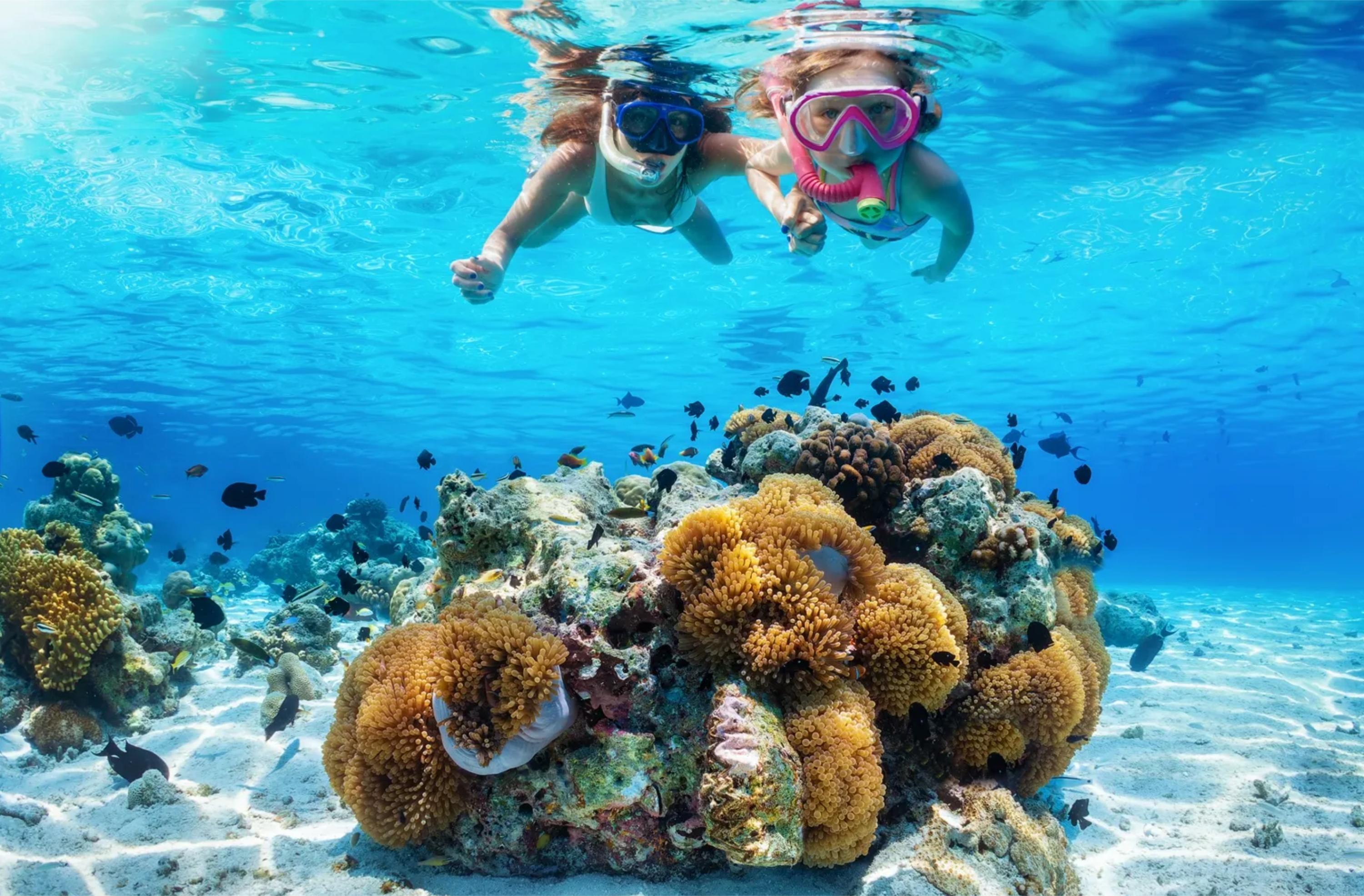 Tiran Island Snorkel & Dive Cruise from Sharm El-Sheikh with Buffet Lunch