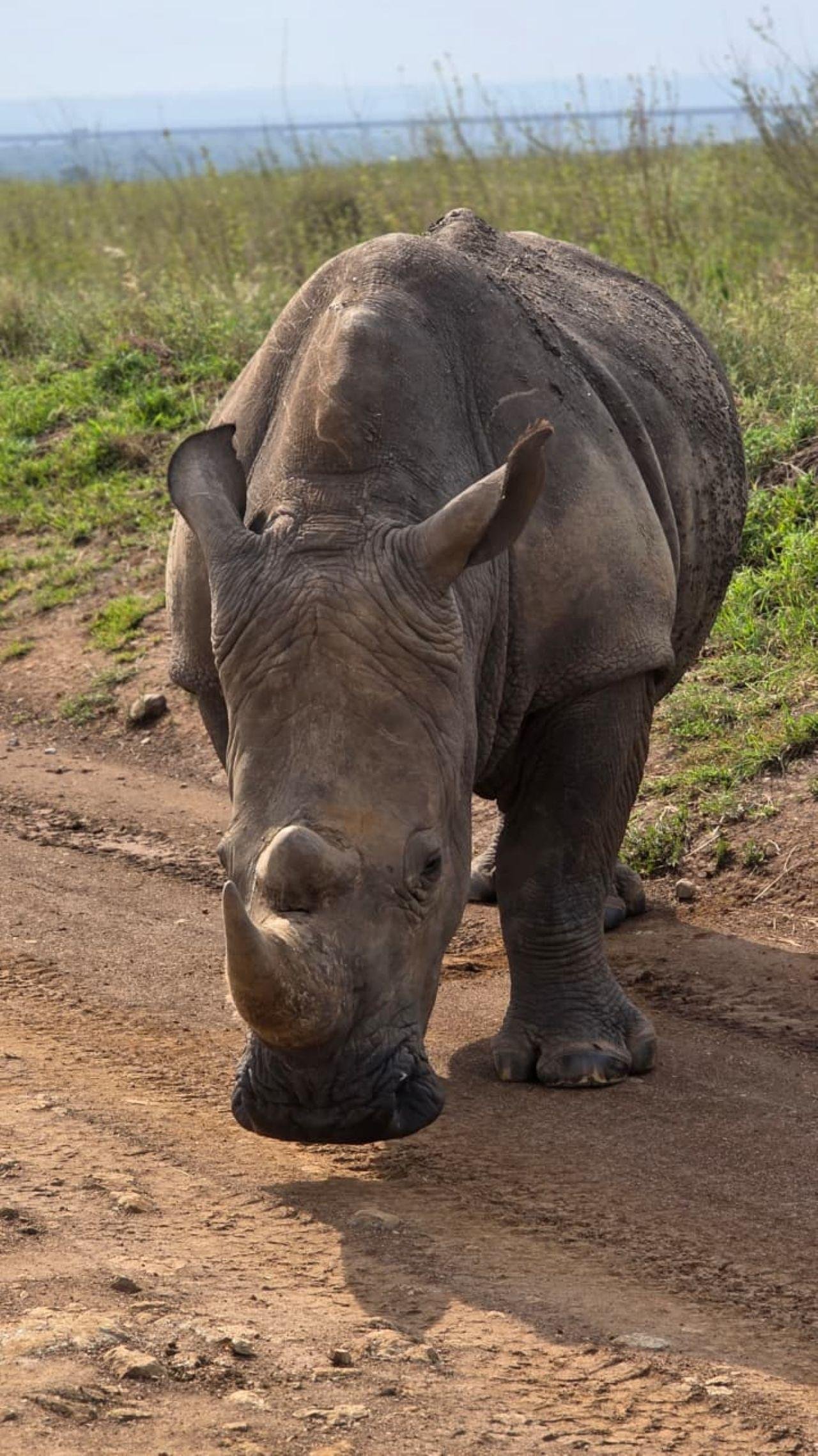 Nairobi National Park Twilight Safari & Sundowner