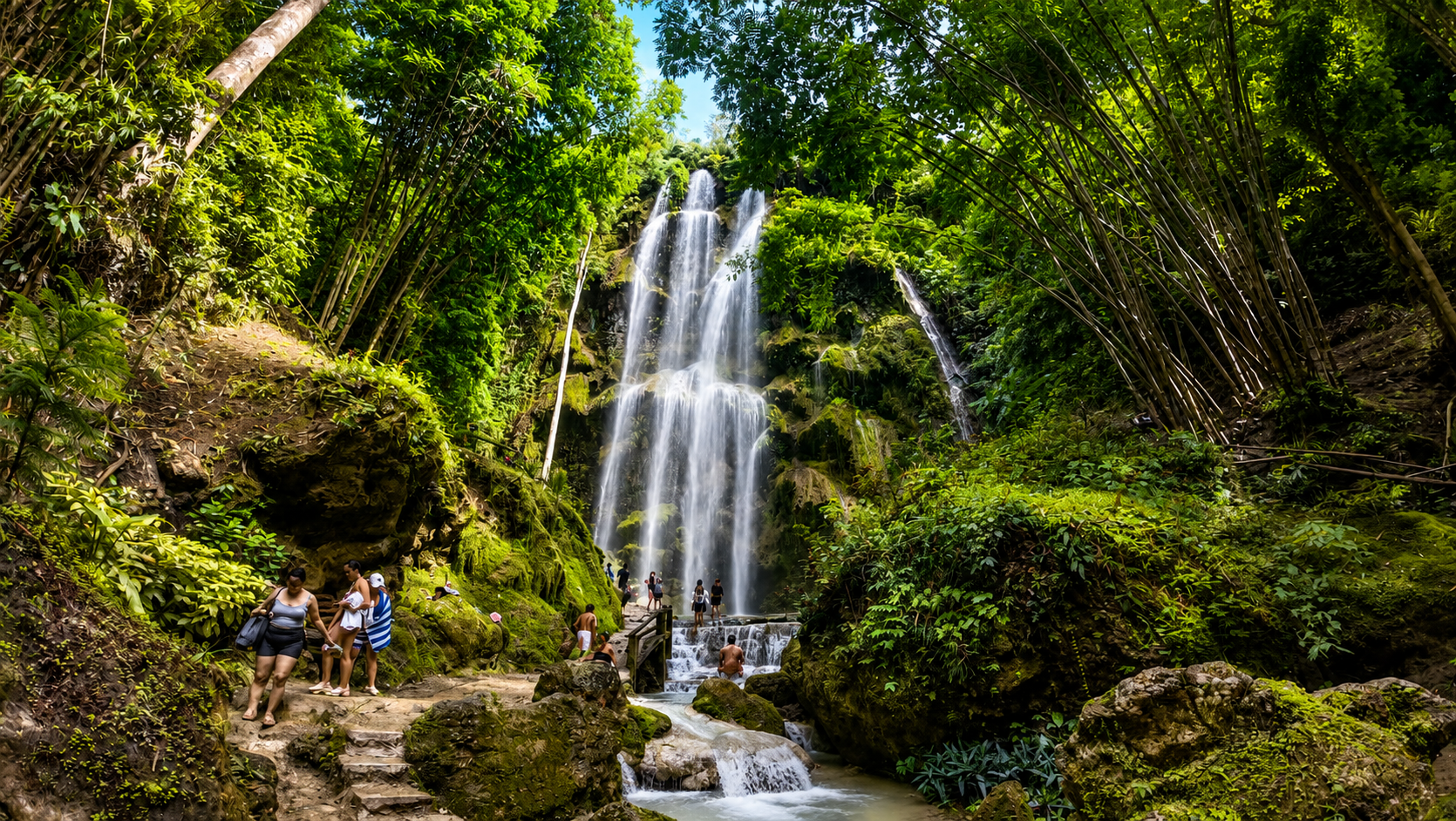 Cebu: Whale Sharks, Tumalog Falls & Sumilon Island Day Tour