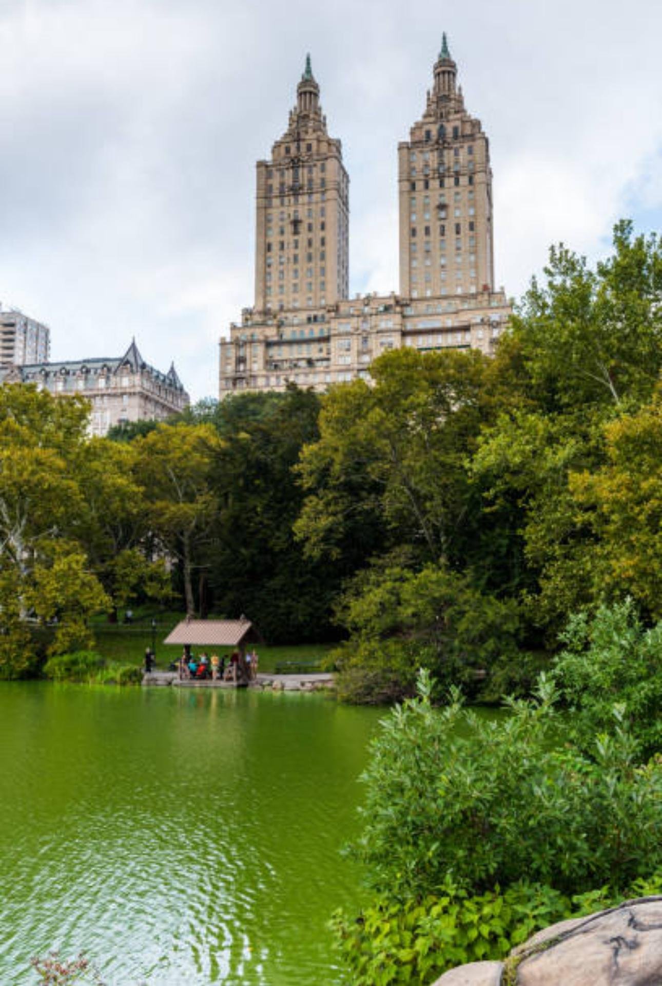 Private Central Park Horse Carriage Tour with Guide