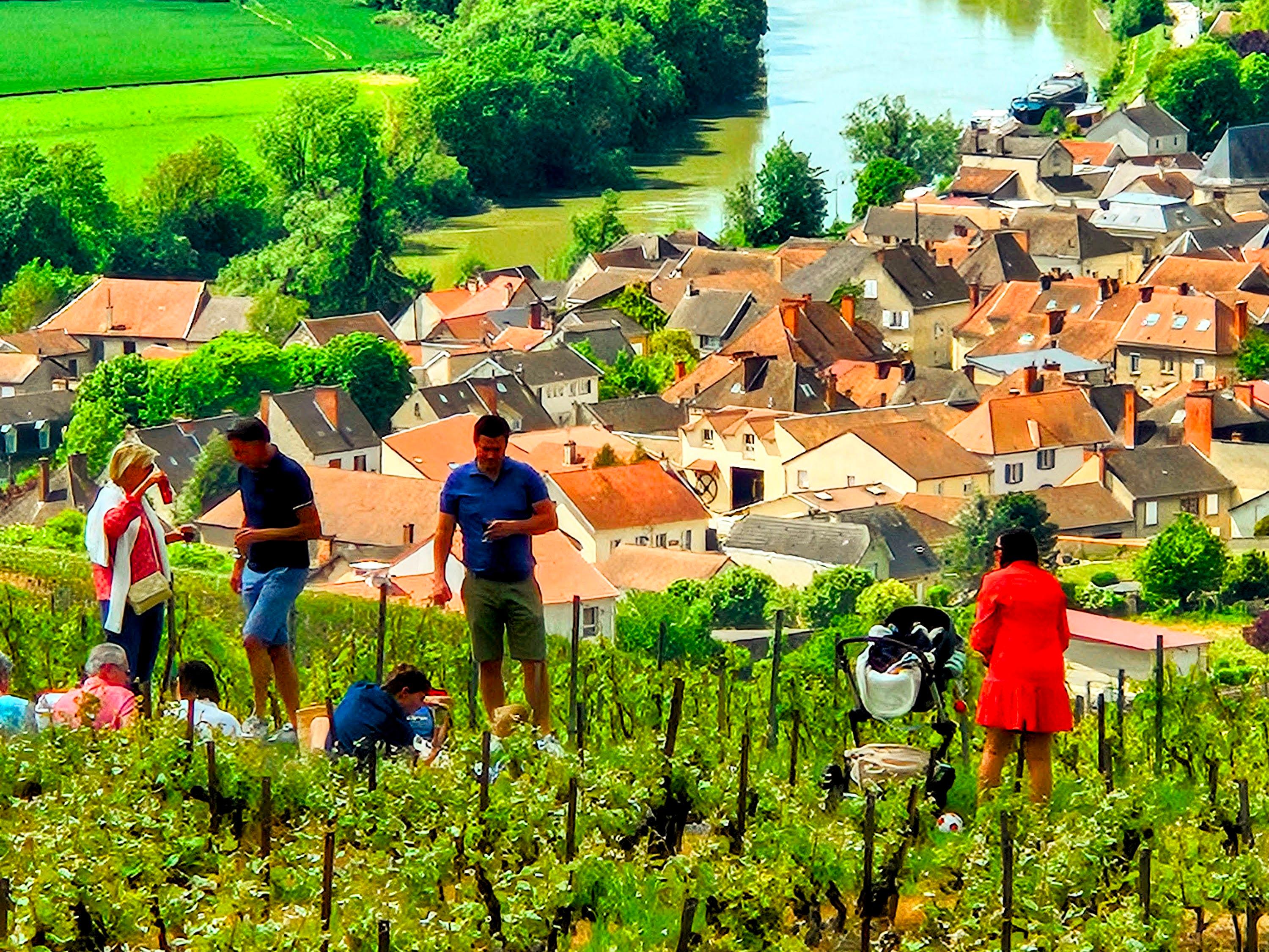 Pommery Champagne tour — Reims château, UNESCO crayères, contemporary art cellars — image 21