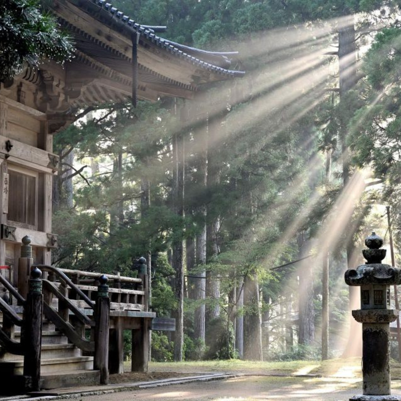 Private Nikko Day Tour from Tokyo – Fully Customizable