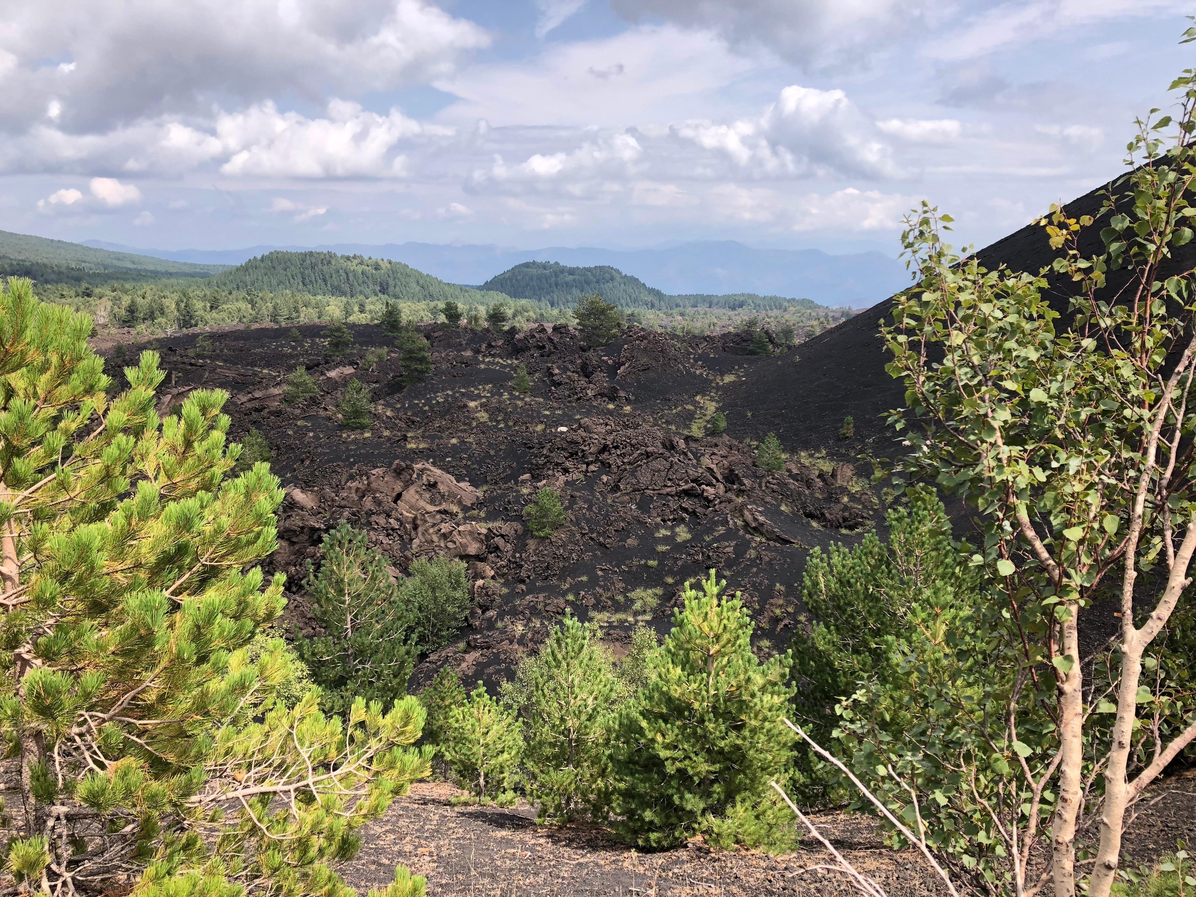 Etna Volcano, Wine Tasting & Alcantara Gorges Day Trip