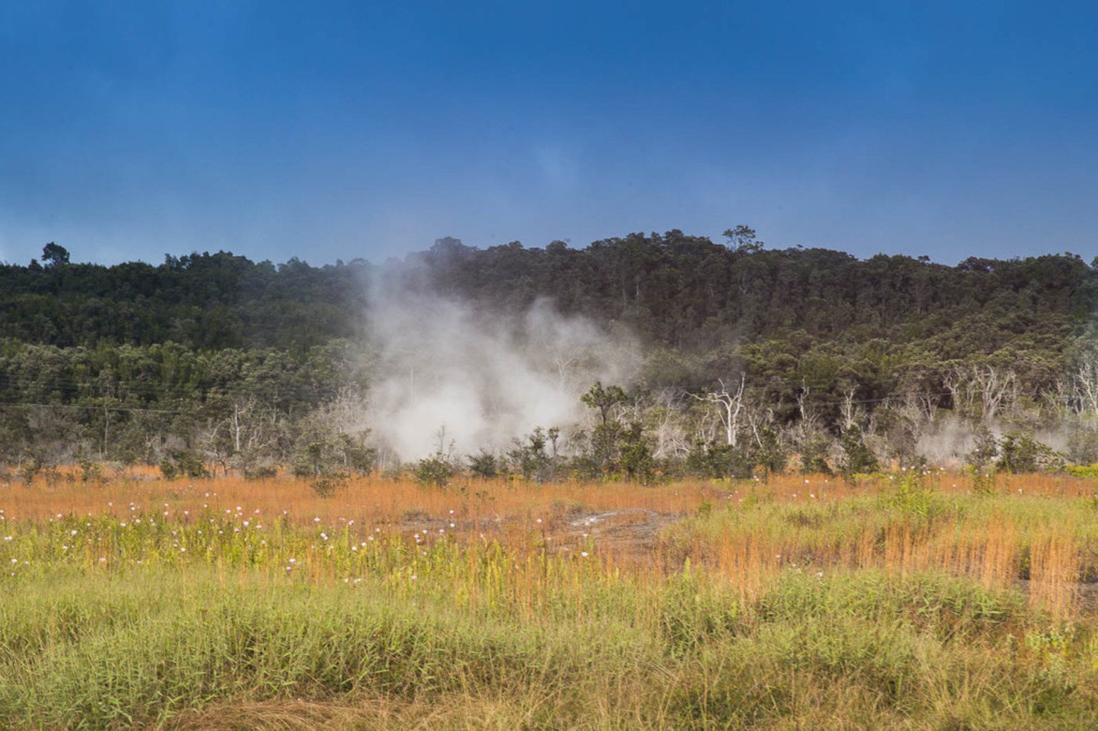 Big Island: Volcanoes, Waterfalls, & Coffee Farm Day-Trip — Kilauea and Hawaii Volcanoes National Park scenery (6)