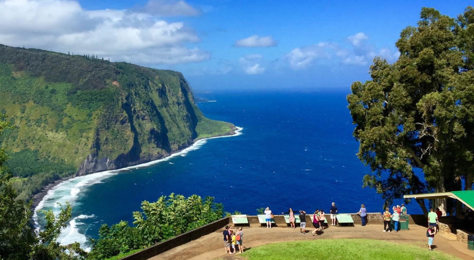 Big Island: Volcanoes, Waterfalls, & Coffee Farm Day-Trip — Kilauea and Hawaii Volcanoes National Park scenery (4)