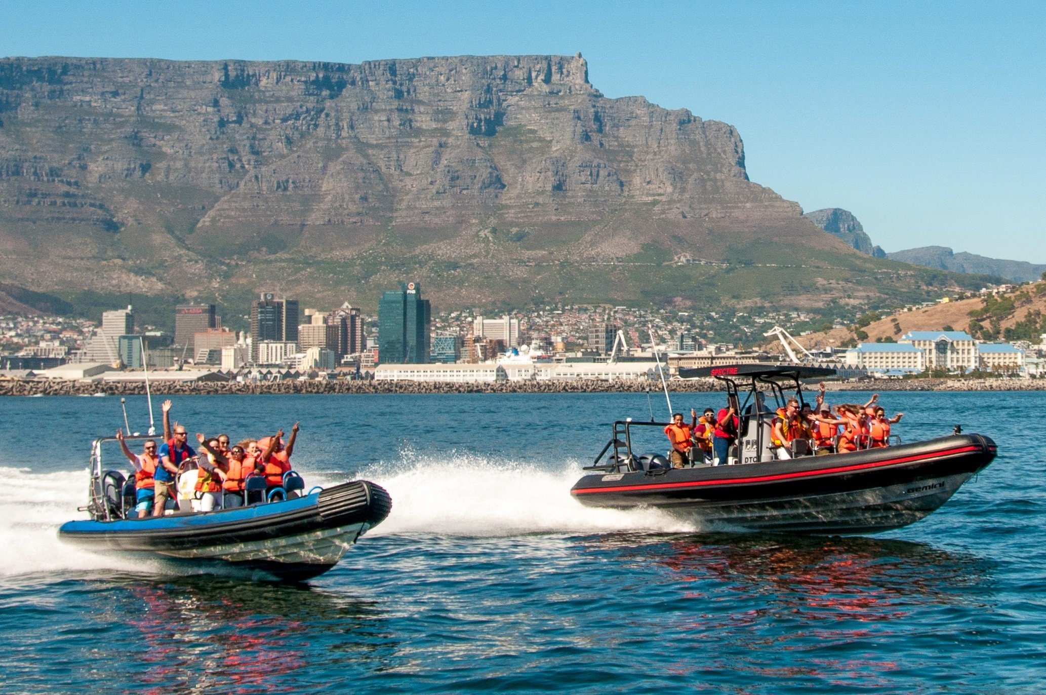 Table Bay Ocean Safari – Cape Town Speedboat Adventure