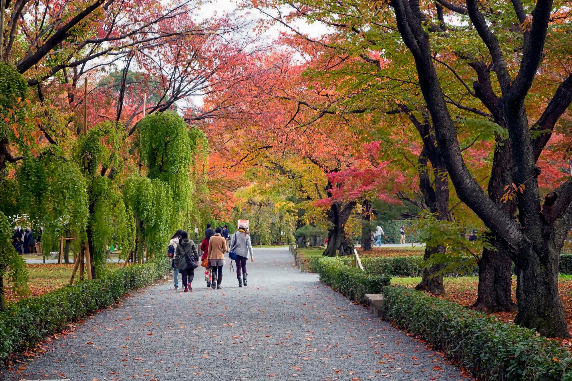 Kyoto Imperial Palace & Nijo Castle Walking Tour