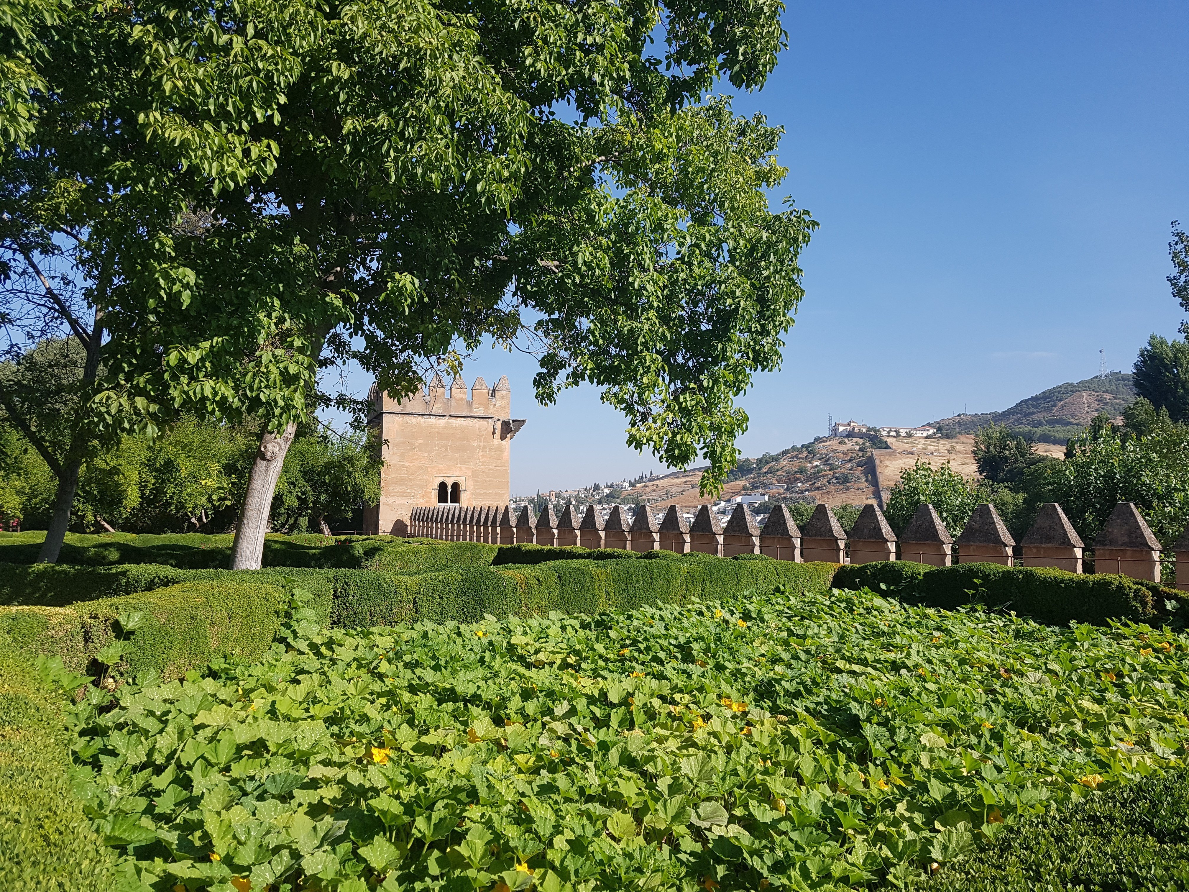 Alhambra: Generalife Gardens & Alcazaba Fast-Track Tour