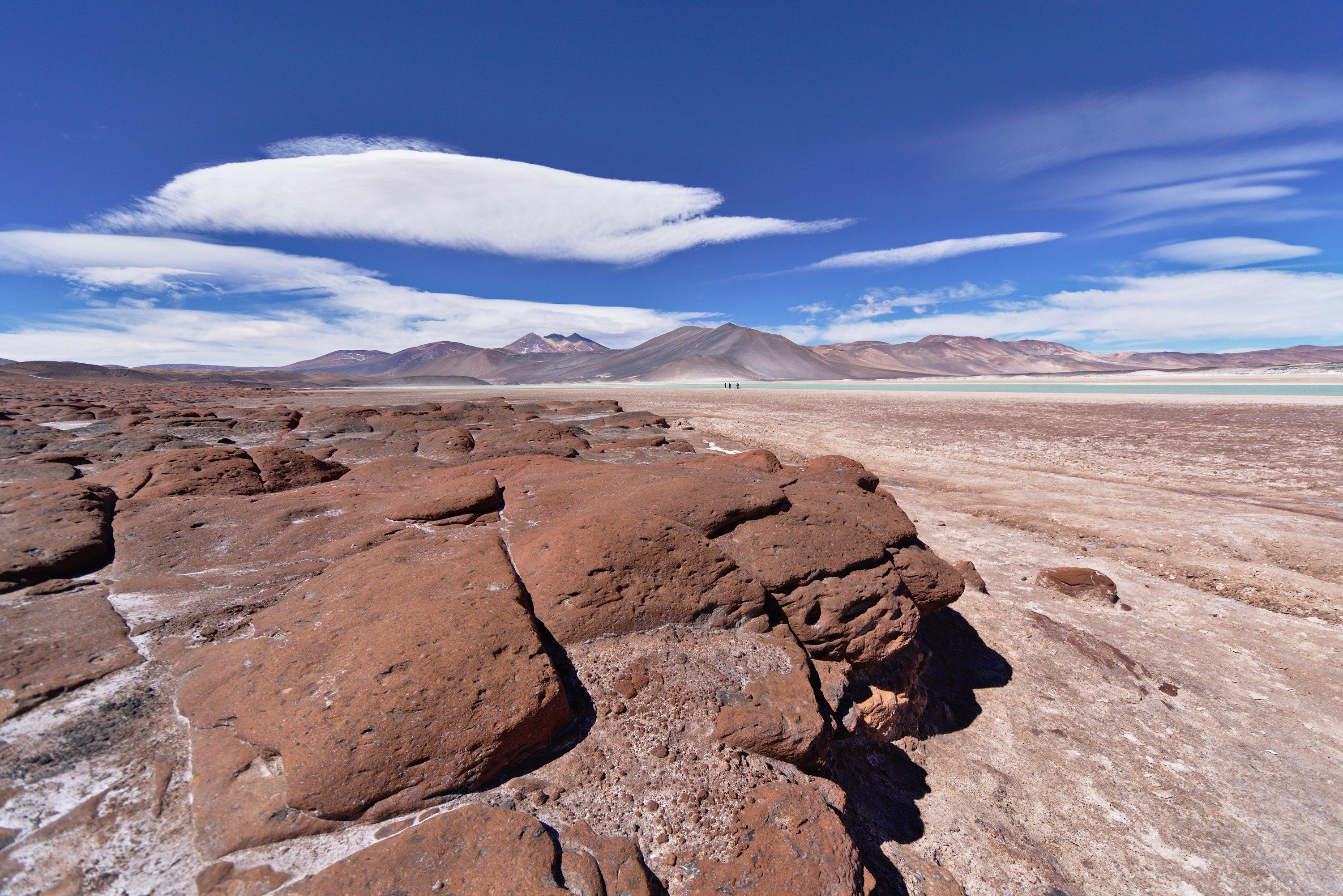 Altiplanic Lagoons, Piedras Rojas & Flamingo Reserve Day Trip