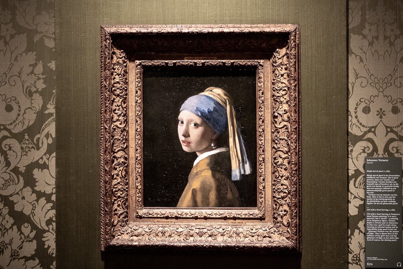 Private Tour: The Hague & Delft with Mauritshuis Museum