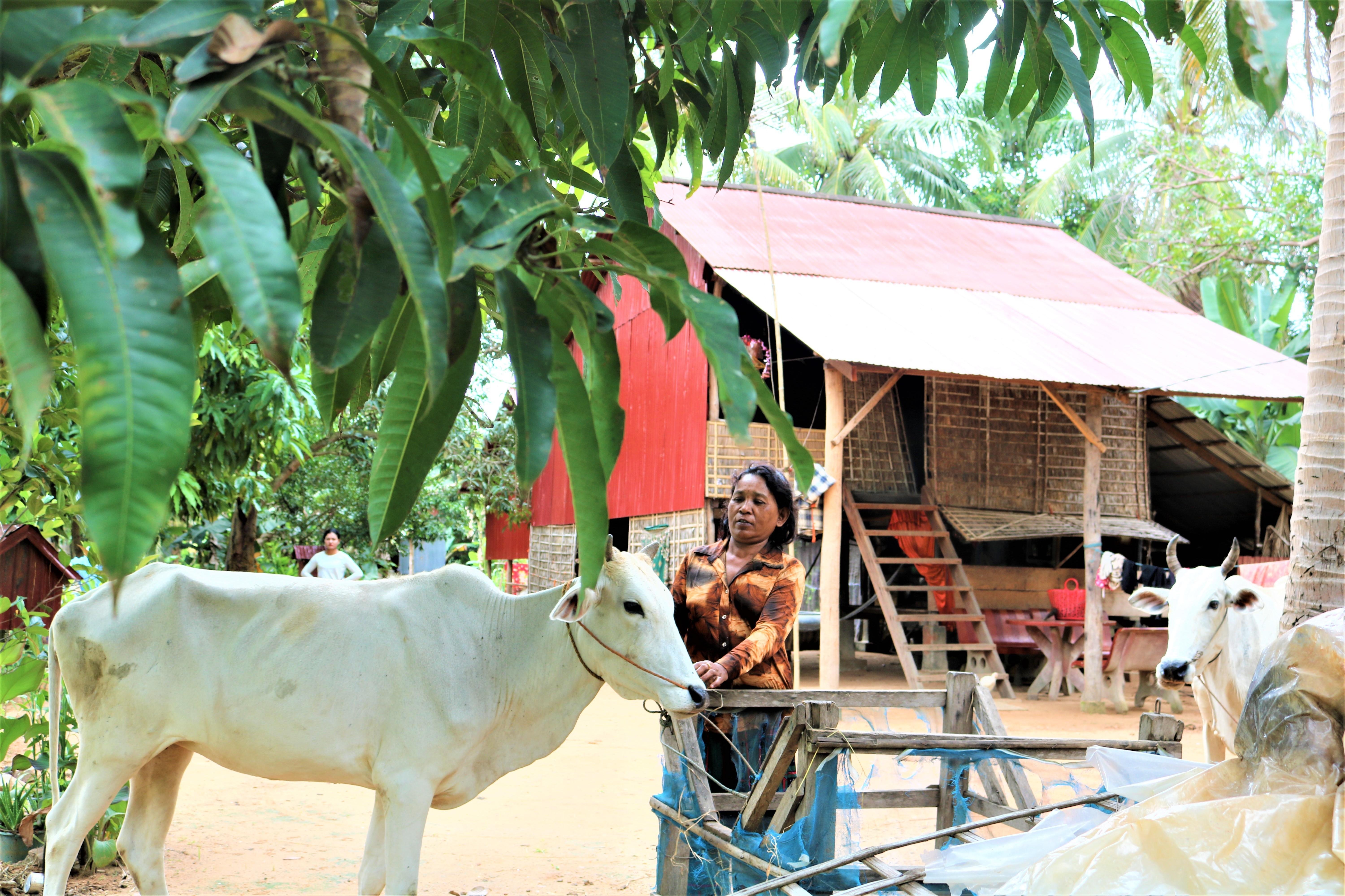 Angkor Wat Sunrise & Tonle Sap 2.5-Day Private Exploration