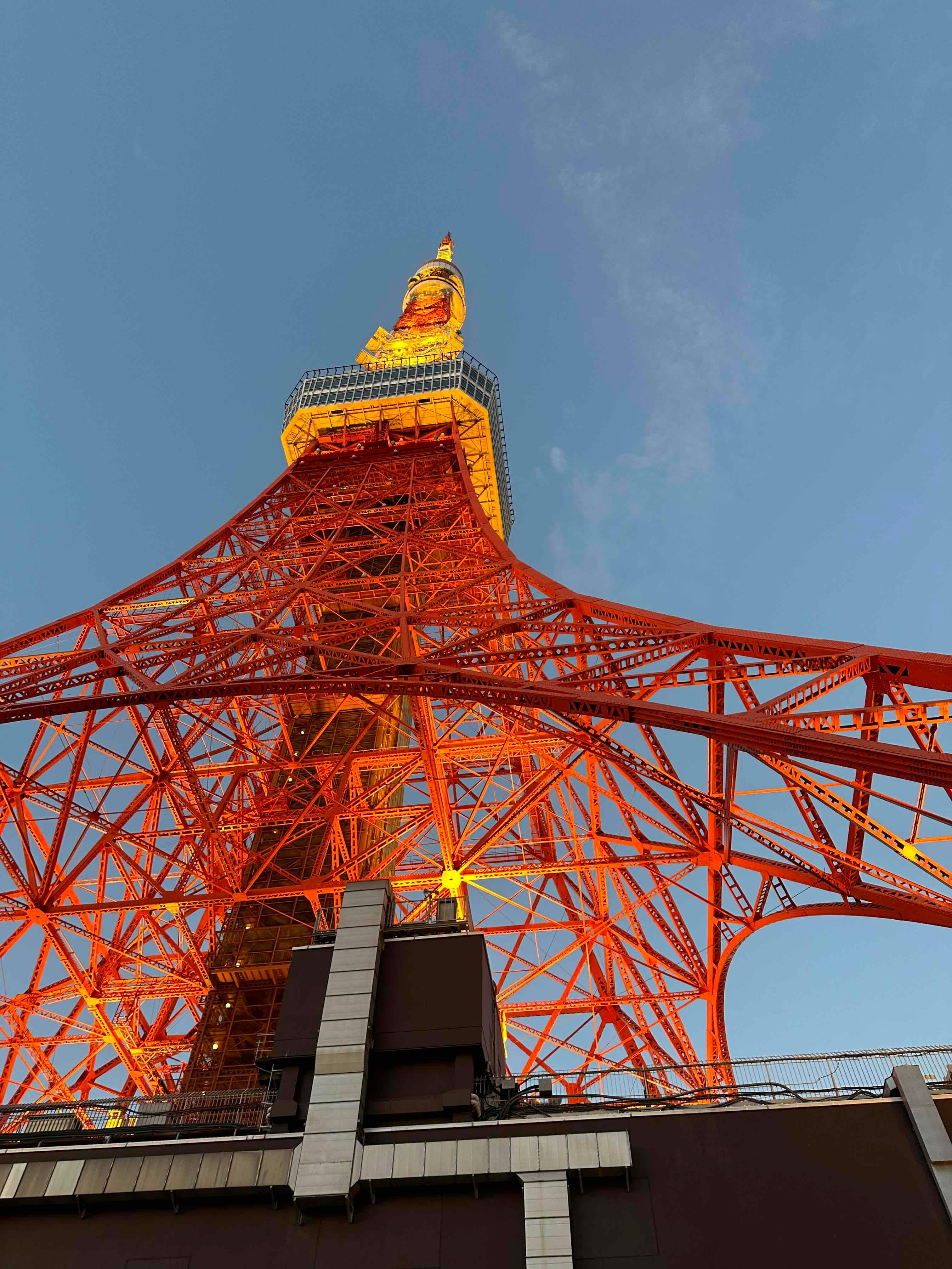 Dynamic Tokyo Full-Day Tour: Tea Ceremony, Buffet Lunch & Bay Cruise