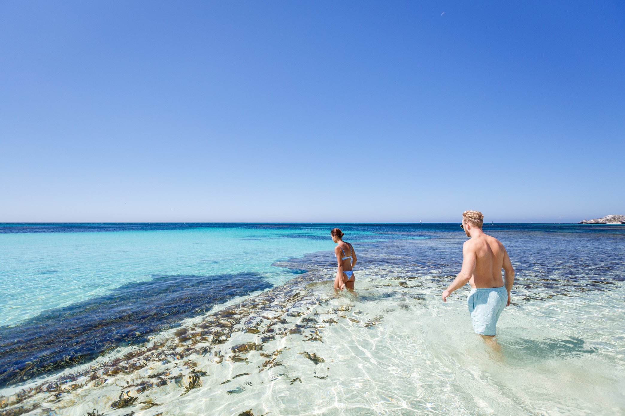 Rottnest Island Day Trip with Ferry and Guided Bus Tour