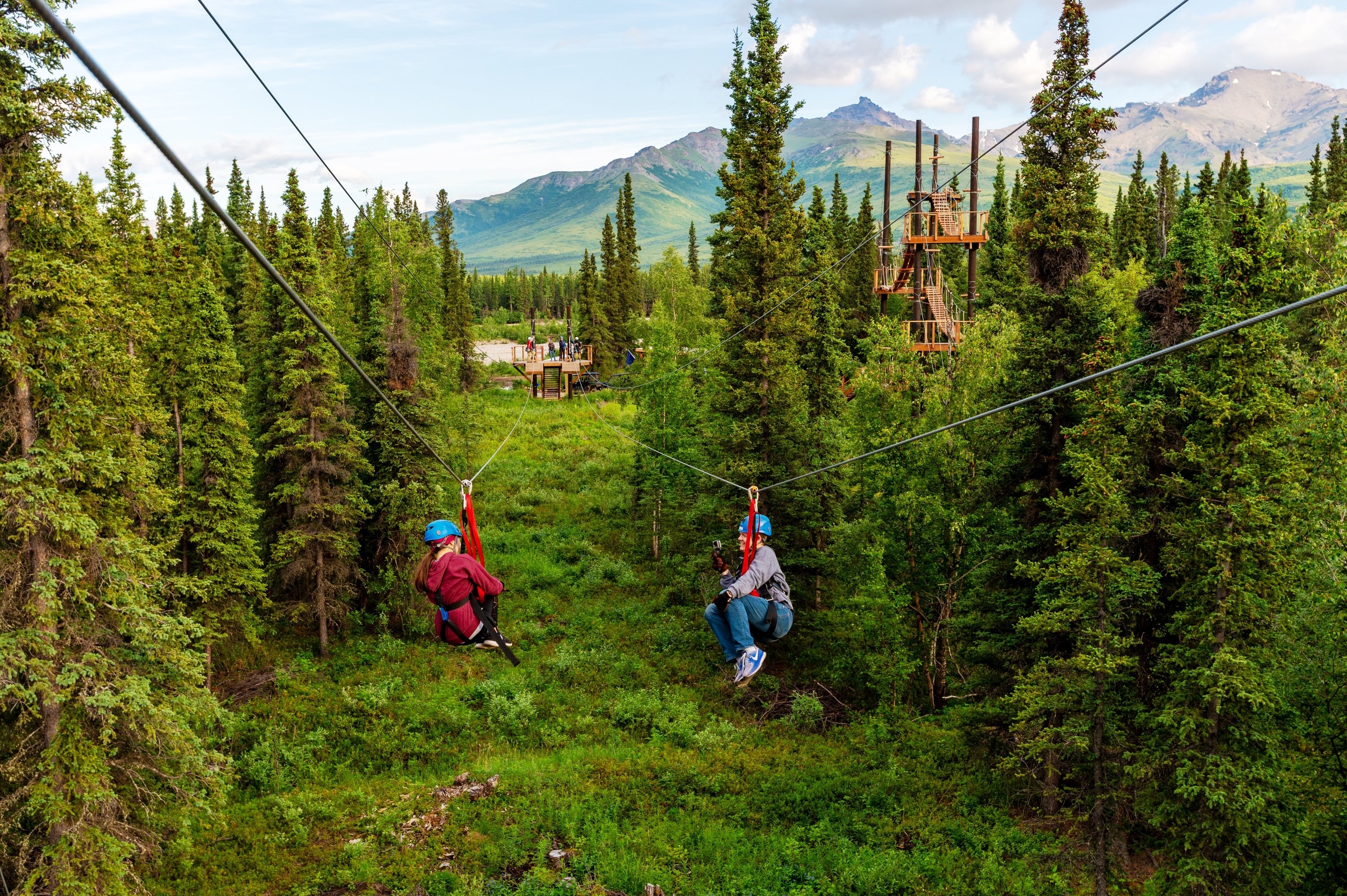 Denali Zipline Adventure