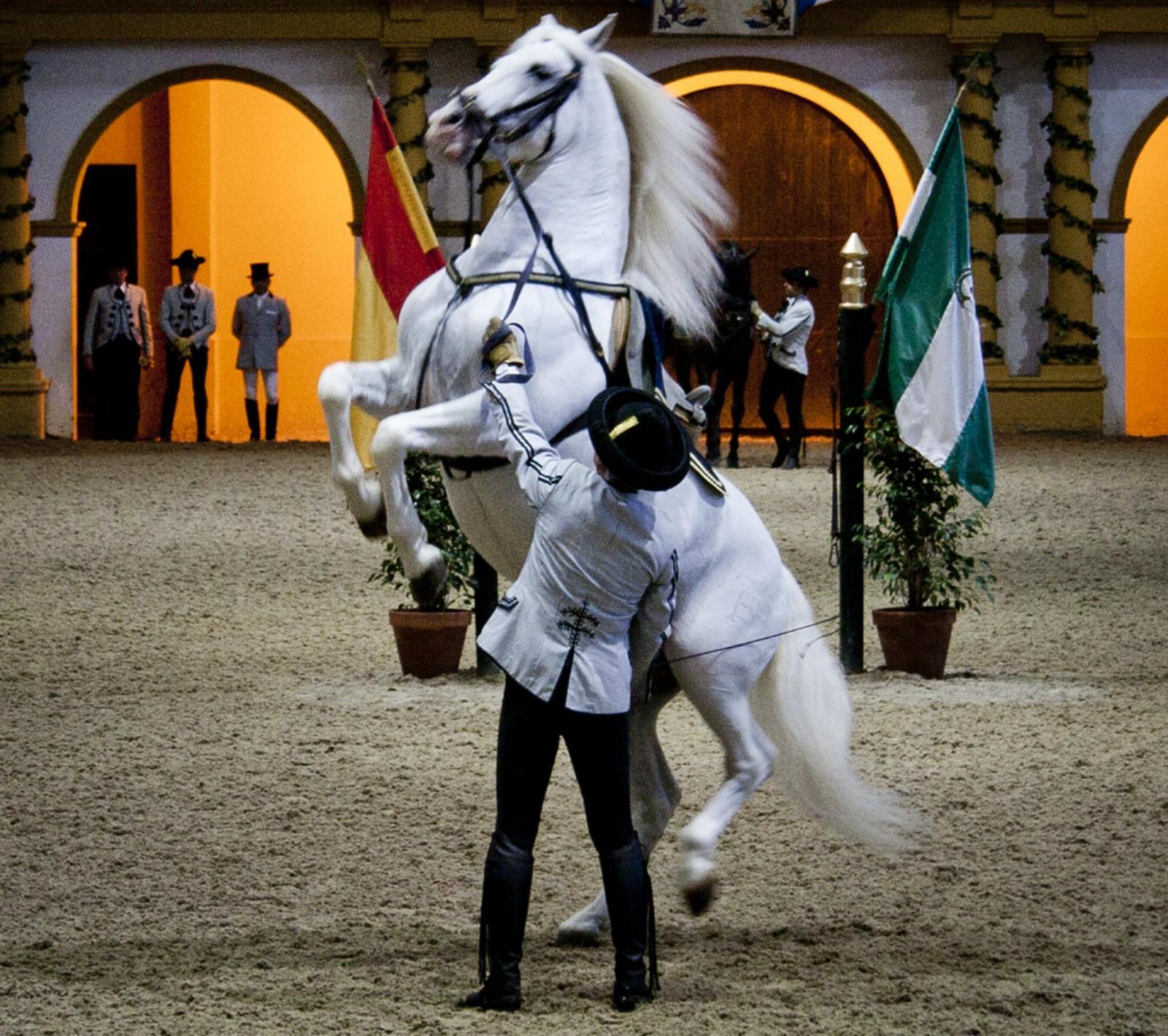 Jerez & Cádiz: Sherry Tasting and Andalusian Horse Show