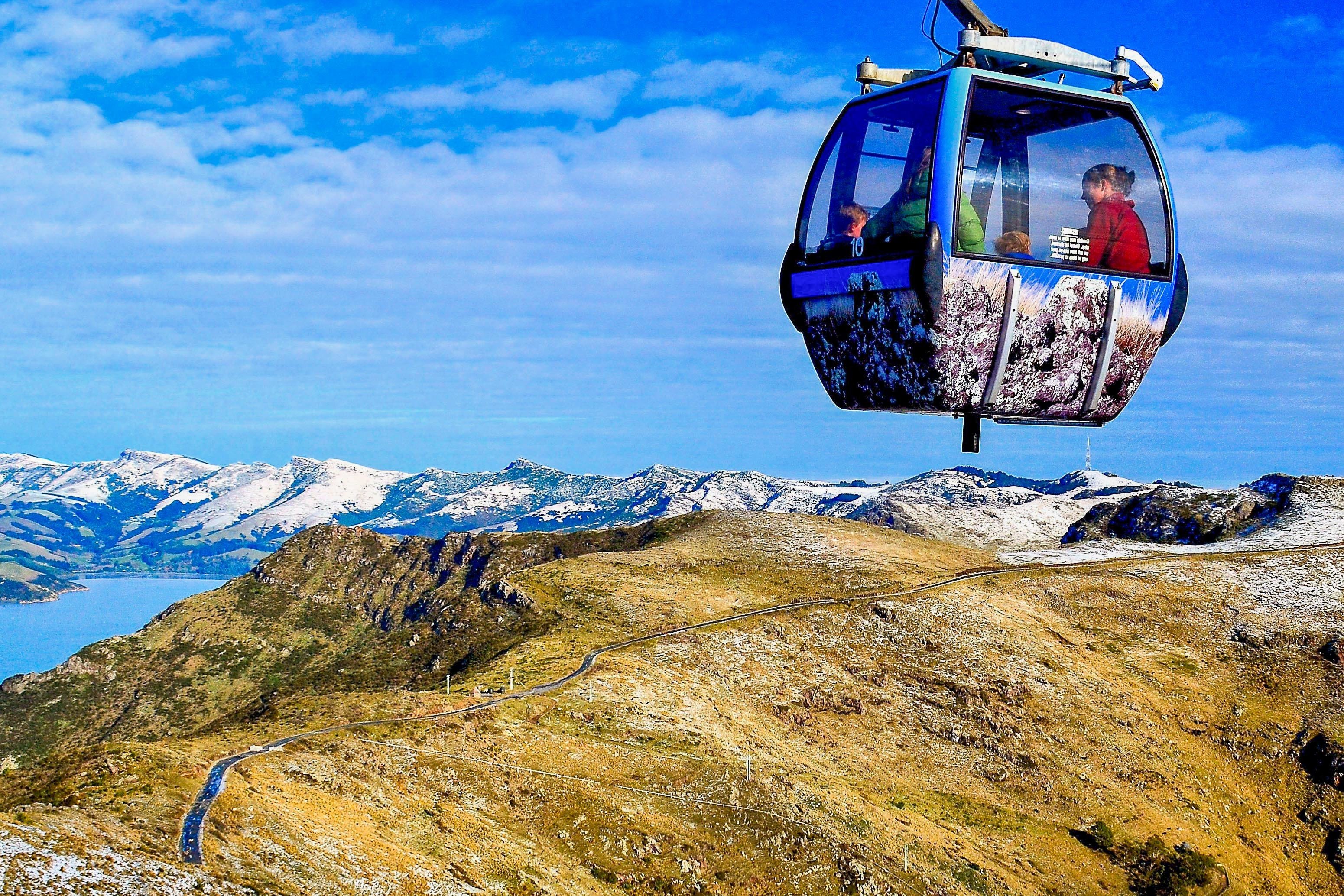 South Island guided tour photo — image 4