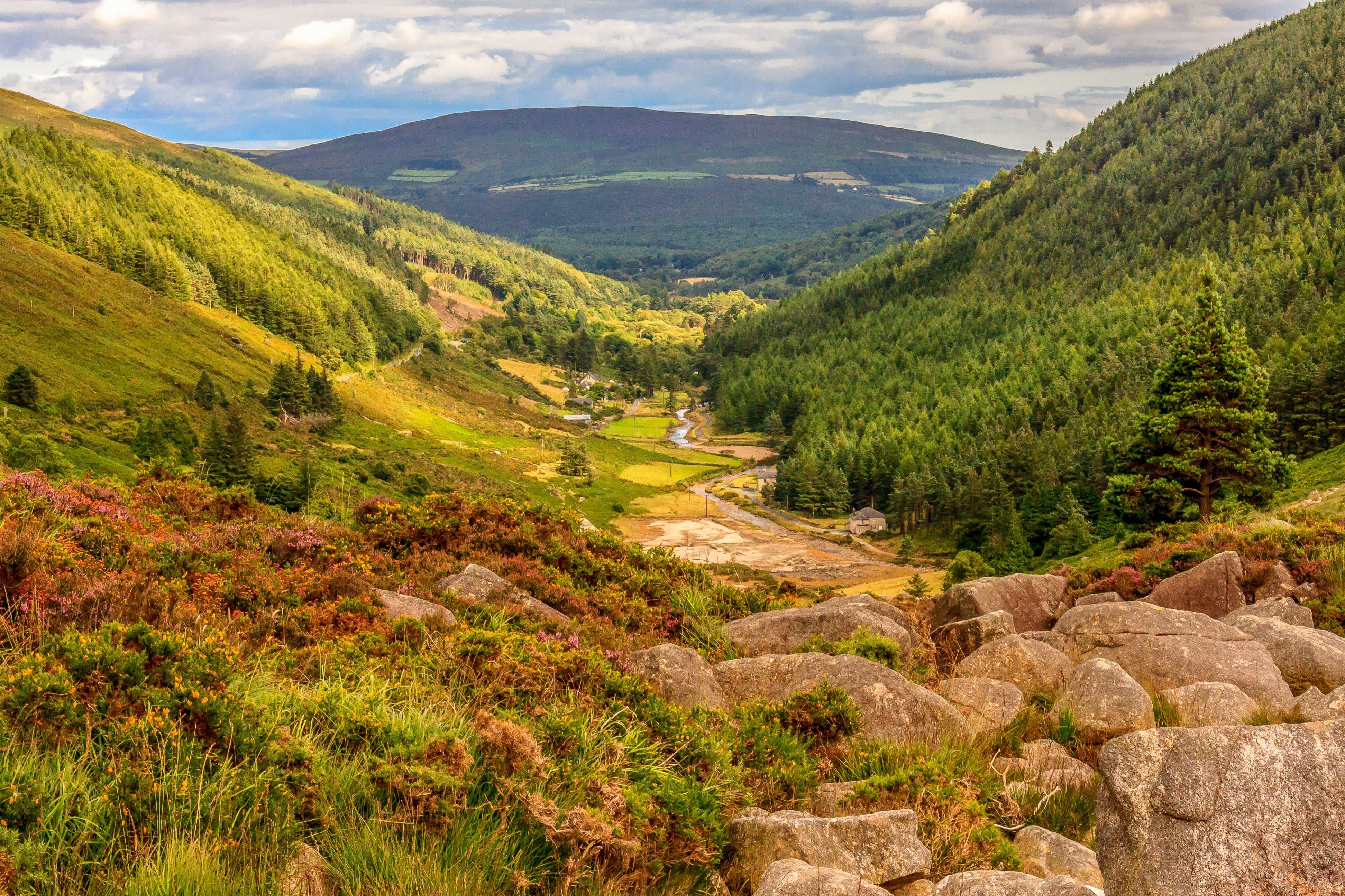 Wicklow Mountains and Glendalough Day Tour from Dublin