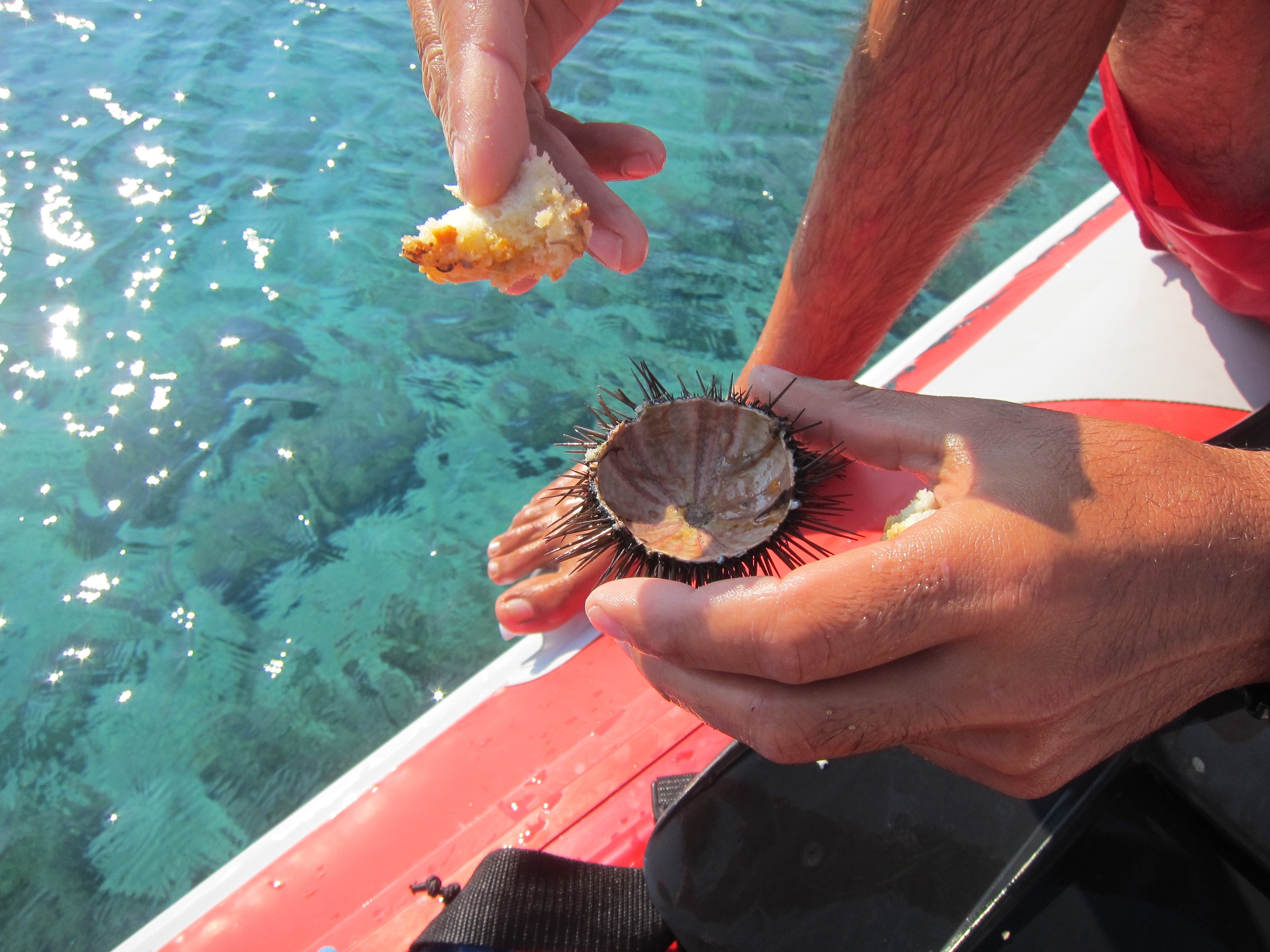 Mykonos Private Powerboat & Snorkeling Sea Safari