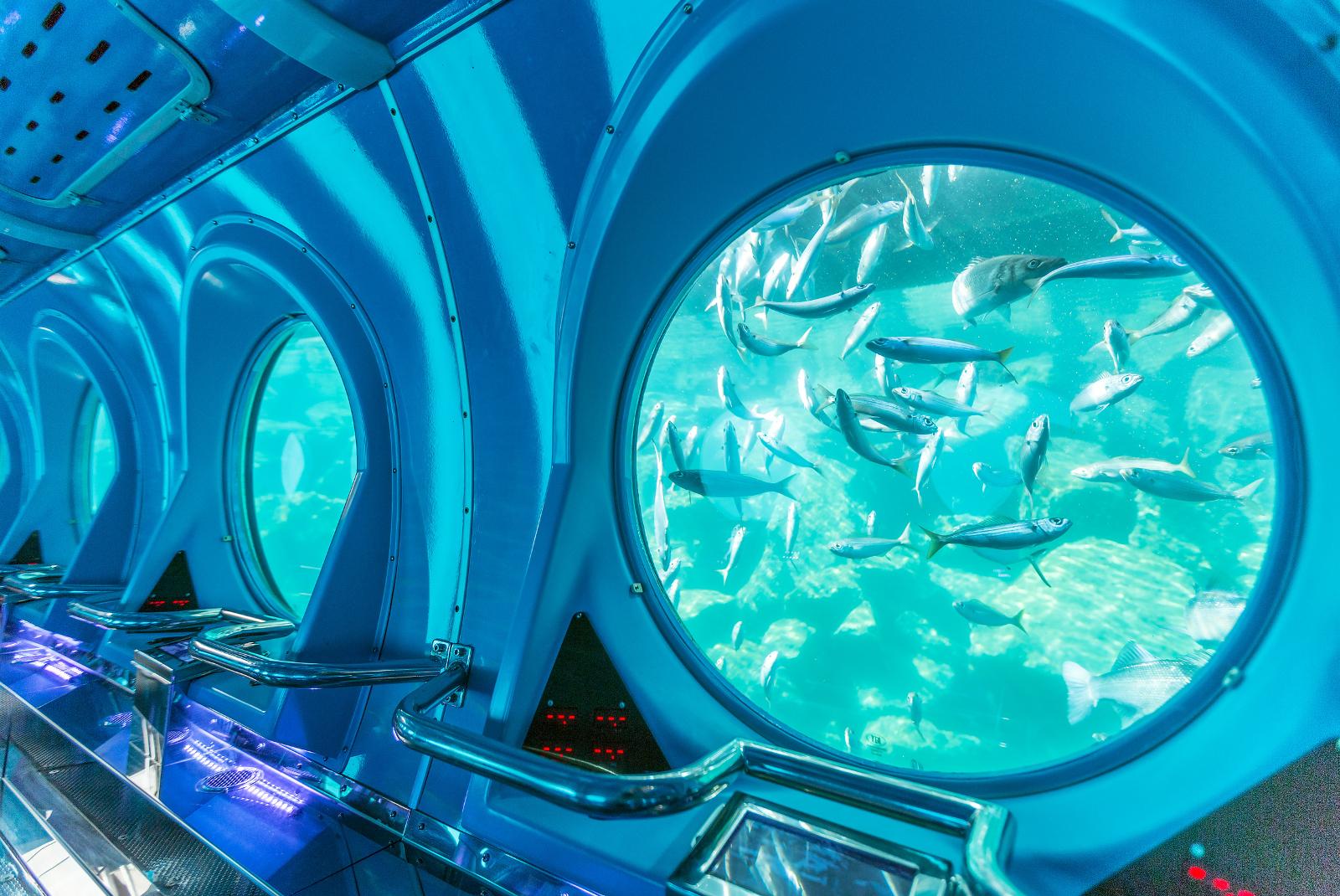 Golden Shark Submarine Expedition