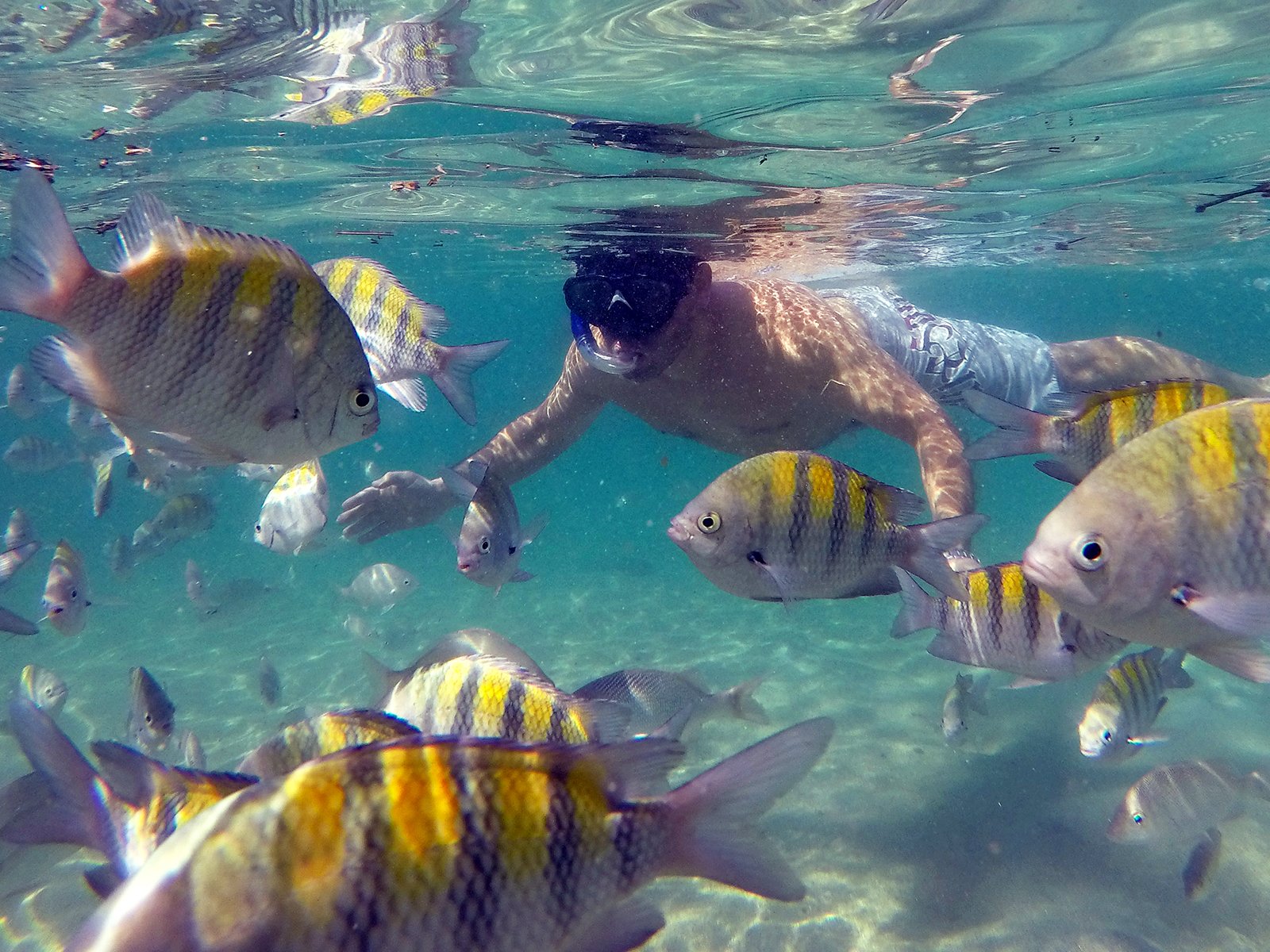 Speedboat Adventure to Angra dos Reis & Ilha Grande from Rio