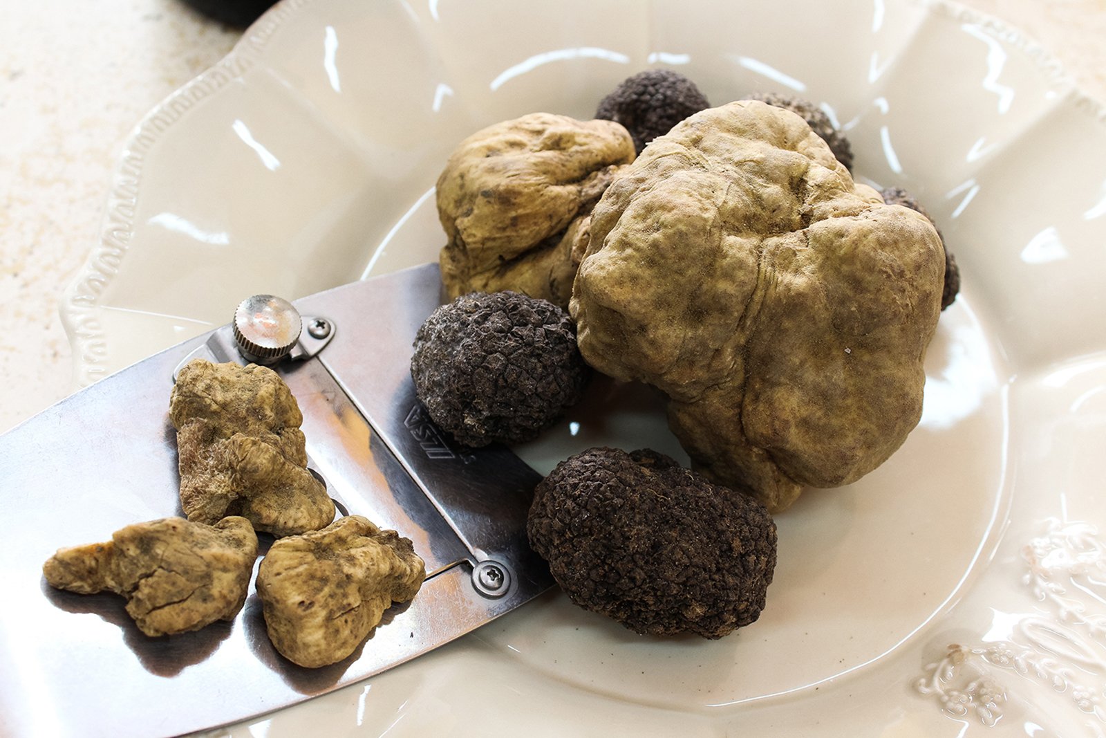 Tuscany truffle hunting tour with dogs and lunch — image 7