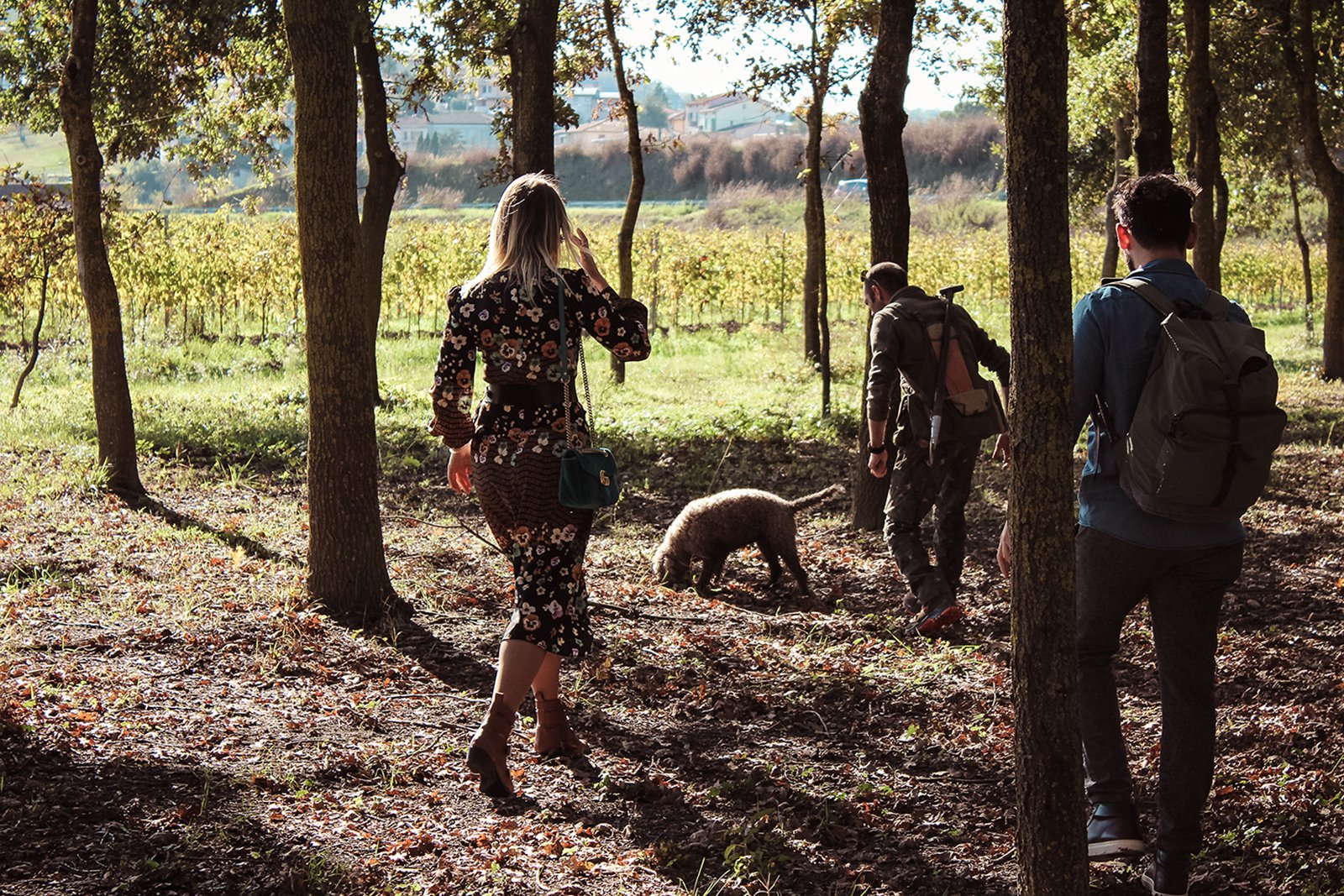 Tuscany truffle hunting tour with dogs and lunch — image 3