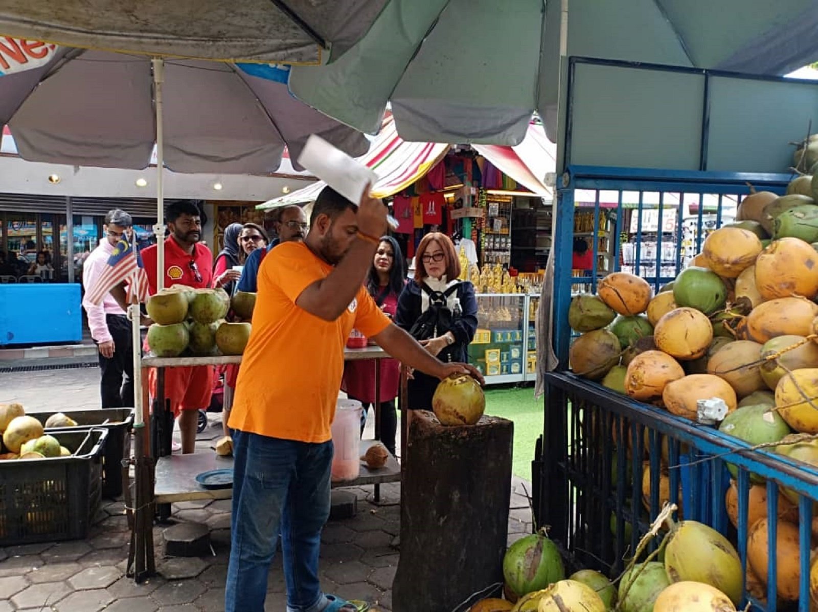 Private Kuala Lumpur Cultural Heritage & Batu Caves Tour