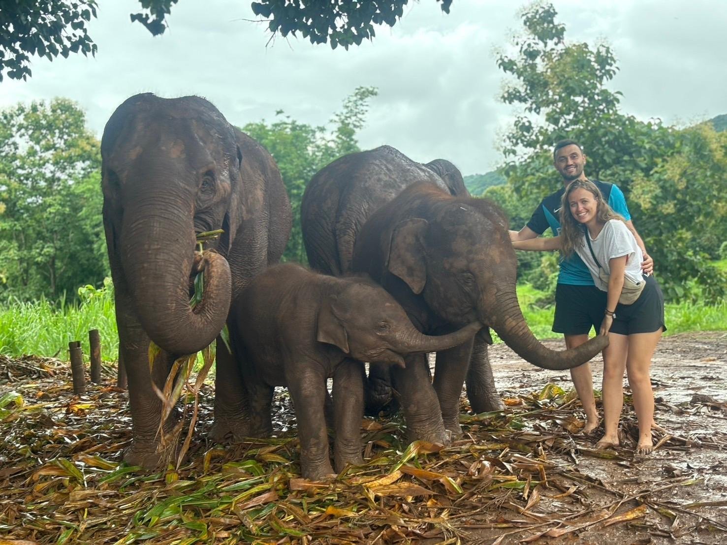 Elephant Sanctuary and Cooking Class — image 13