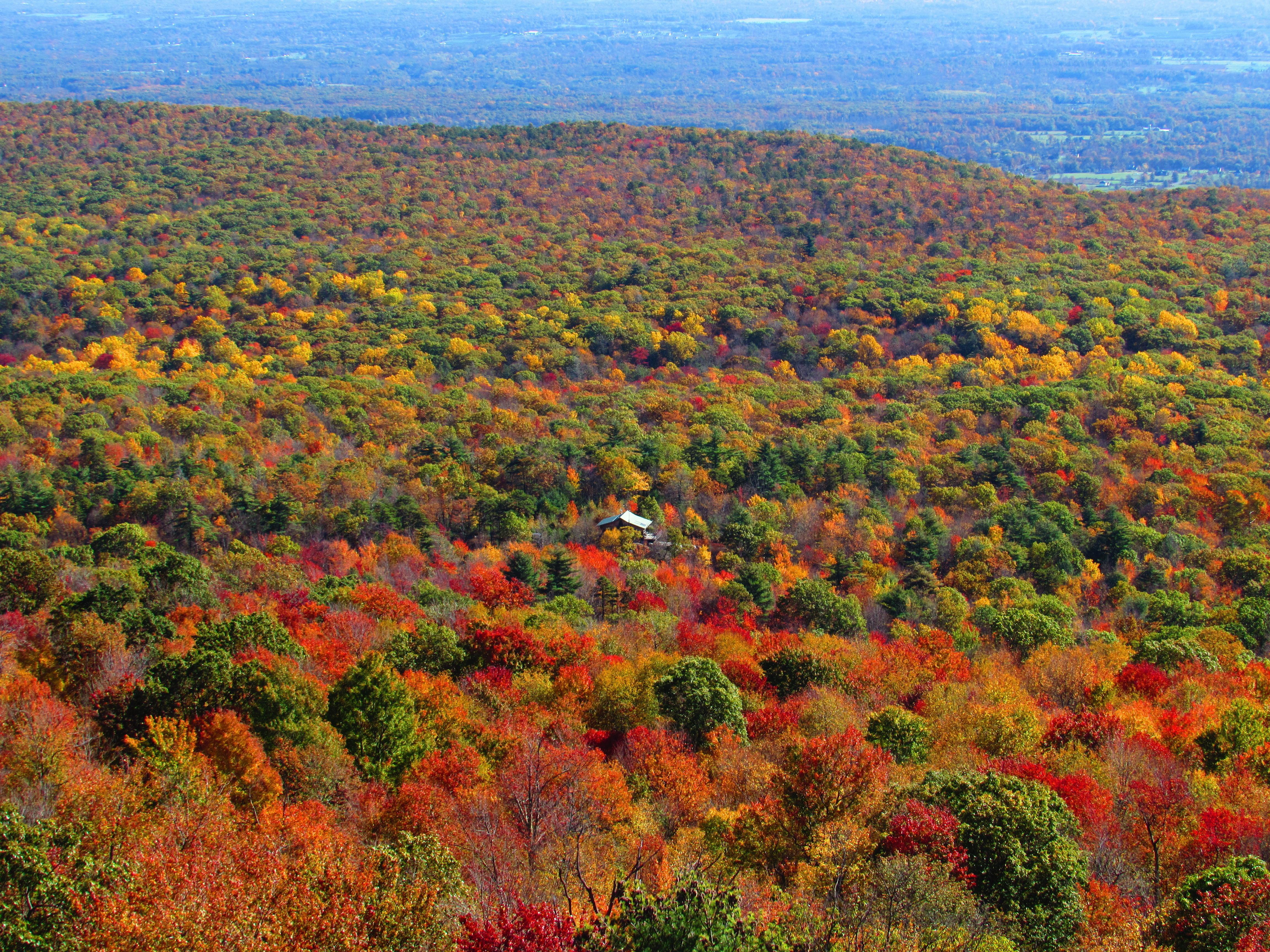 Private Hudson Valley Fall Foliage Helicopter Flight