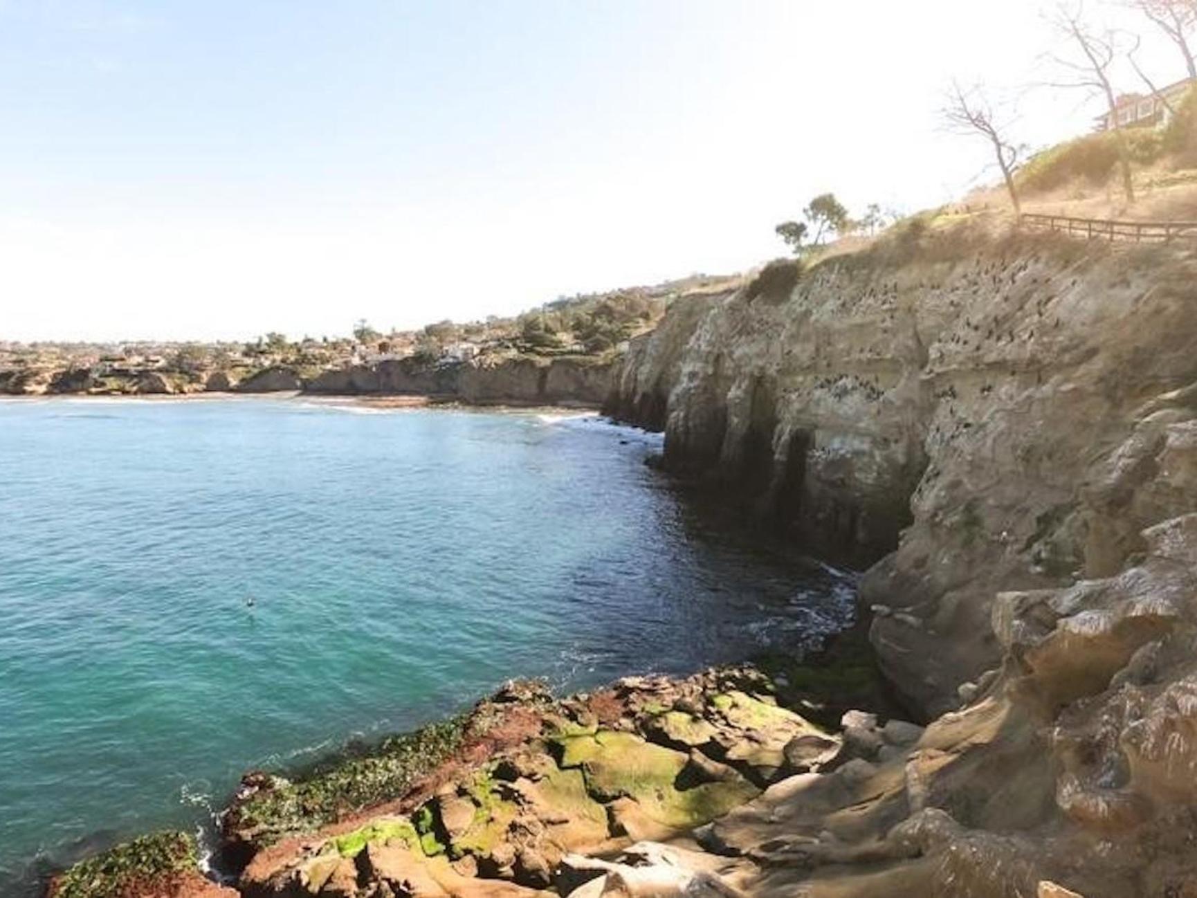 San Diego: La Jolla Cove Snorkeling Tour, Sea Lions & Caves - 2026 (Verified Reviews)