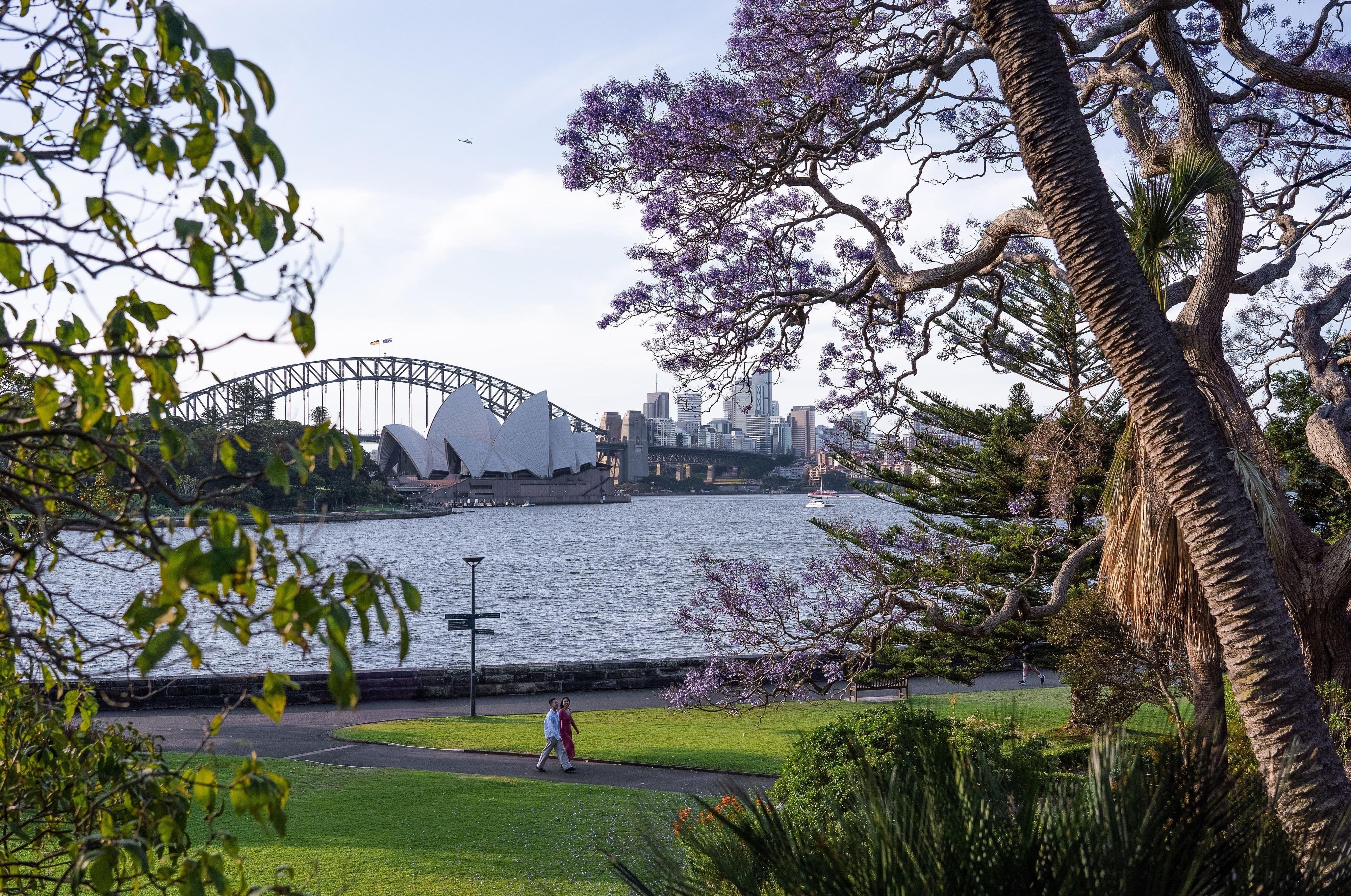 Private Custom Sydney Tour with Local Guide