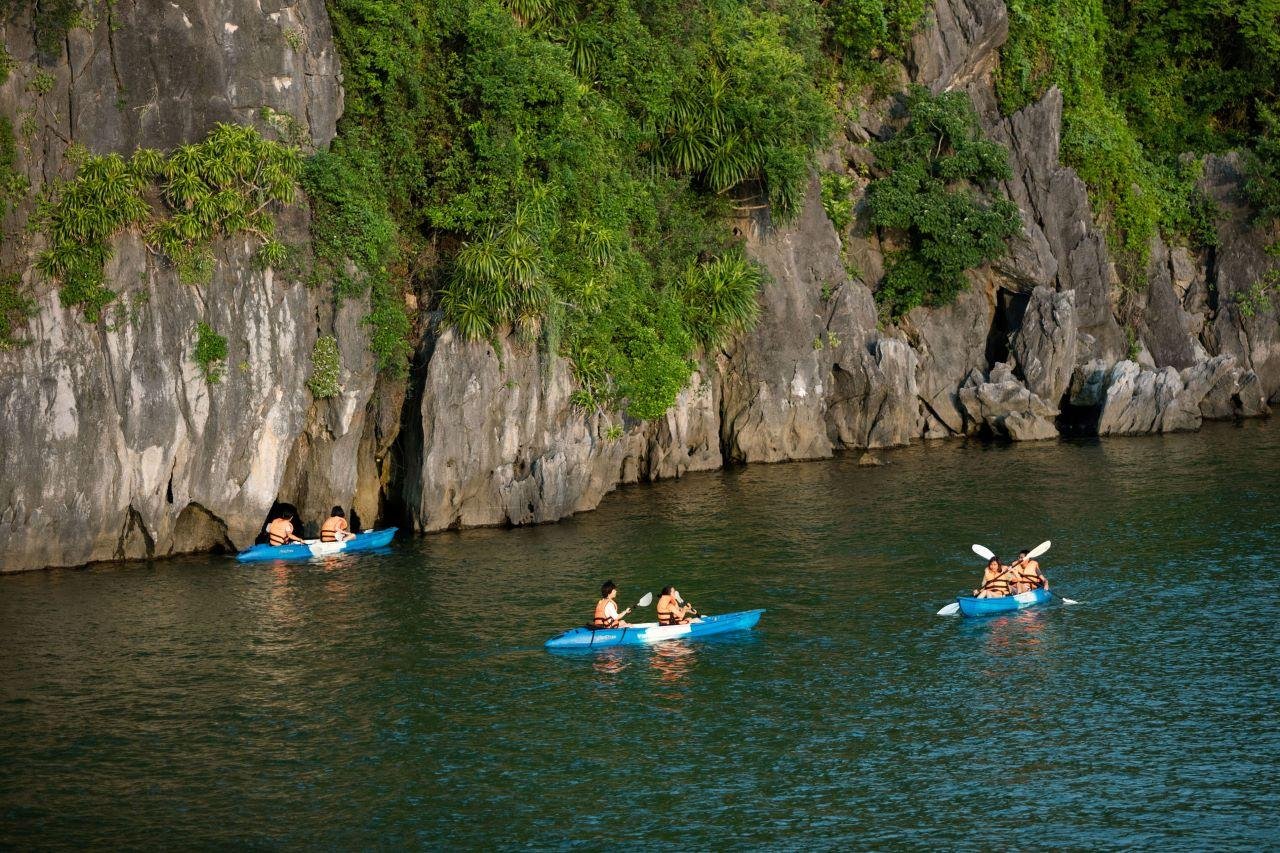 Ha Long Bay Day Trip from Hanoi: Luxury or Standard Cruise with Lunch