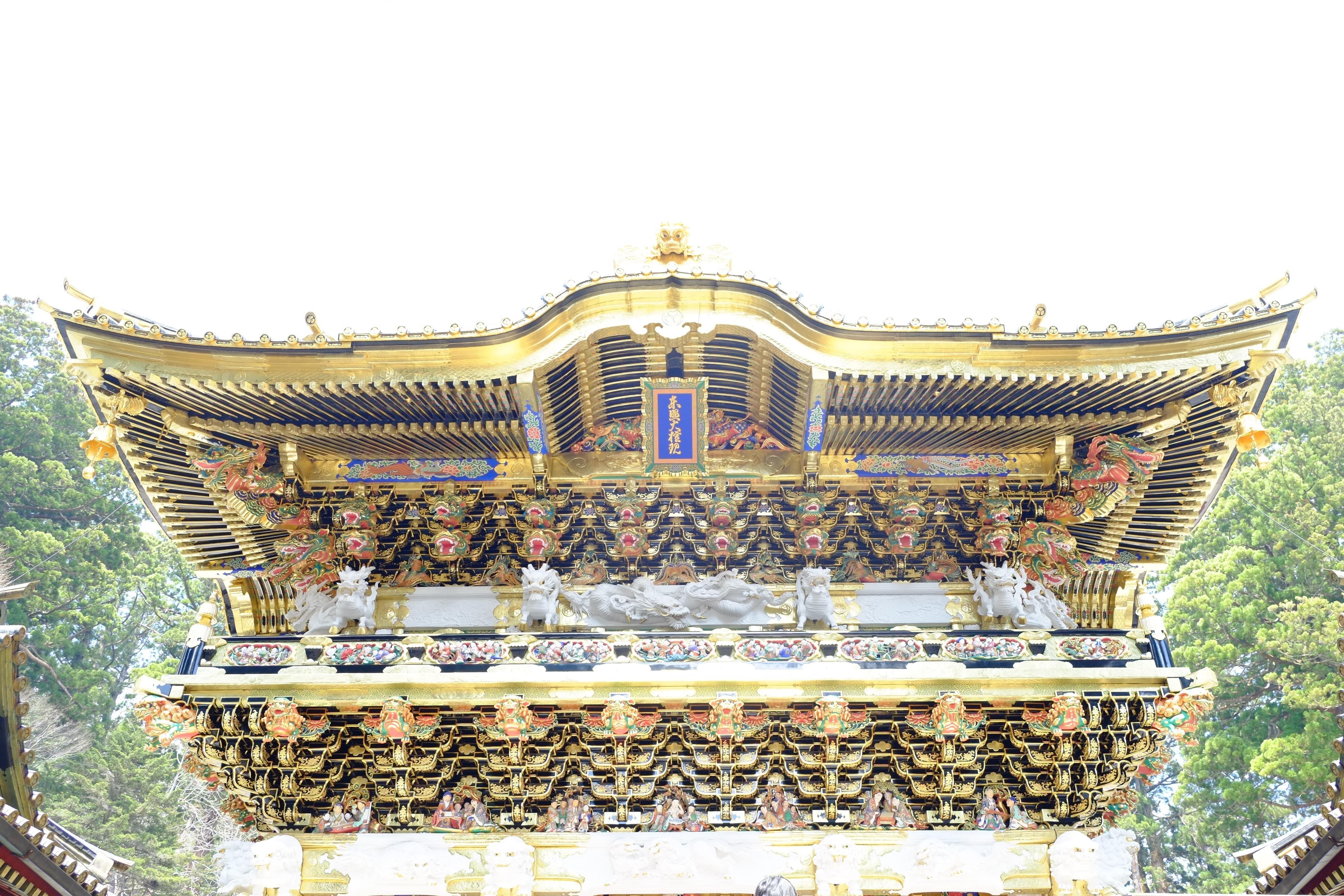 Tokyo to Nikko: Toshogu Shrine & Kegon Falls Day Tour
