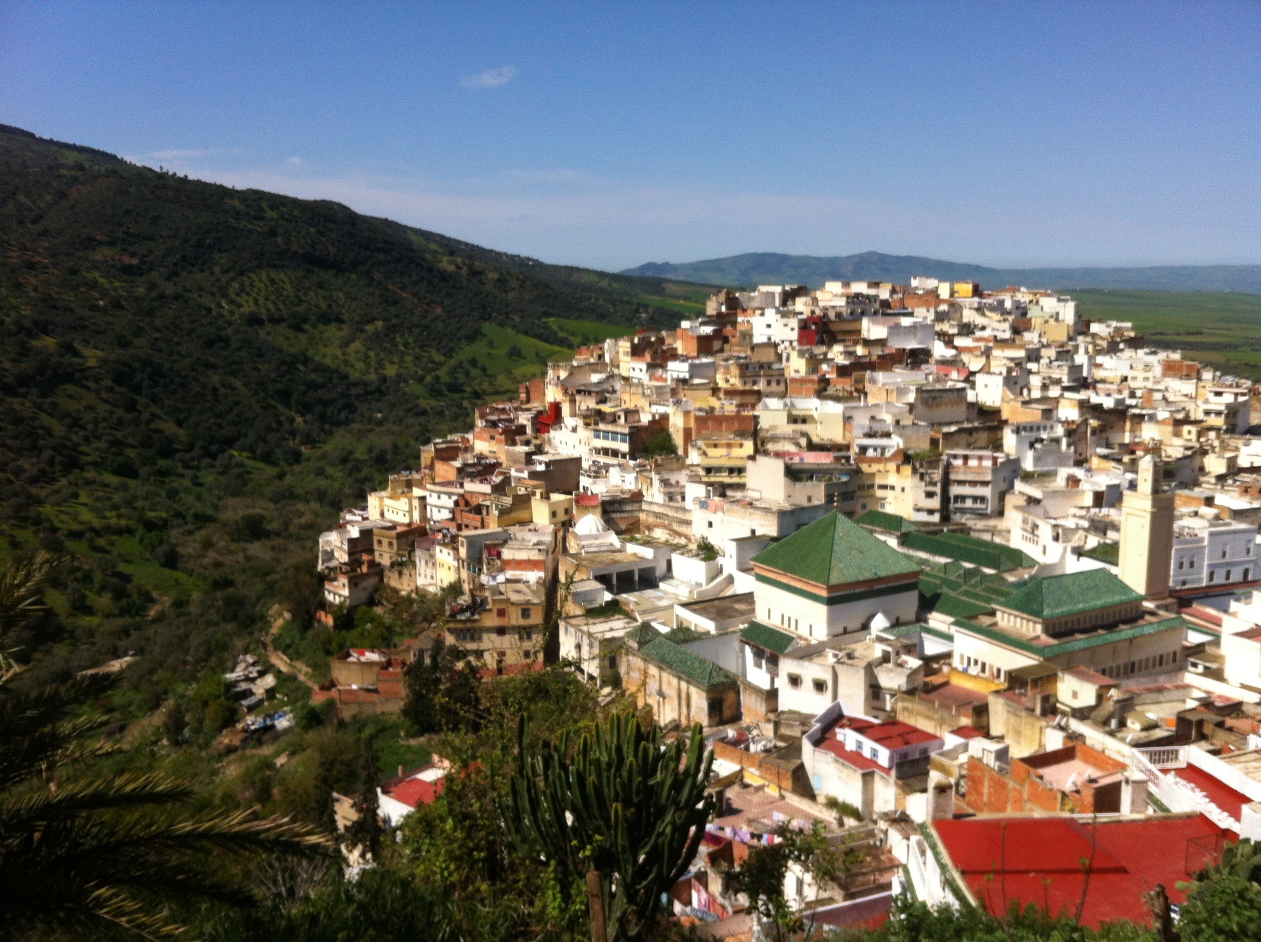 Fes Imperial Cities & Roman Ruins Day Trip
