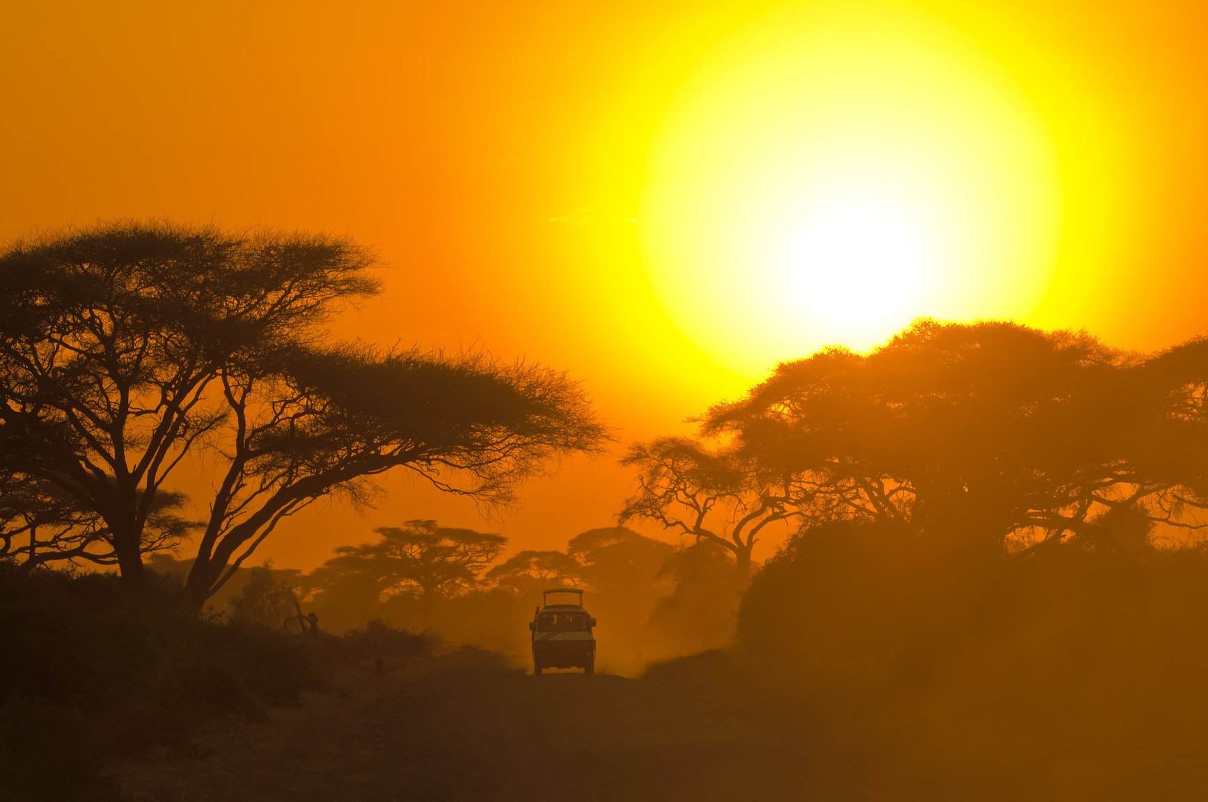 Yala National Park Wildlife Safari: Morning, Afternoon, or Full-Day