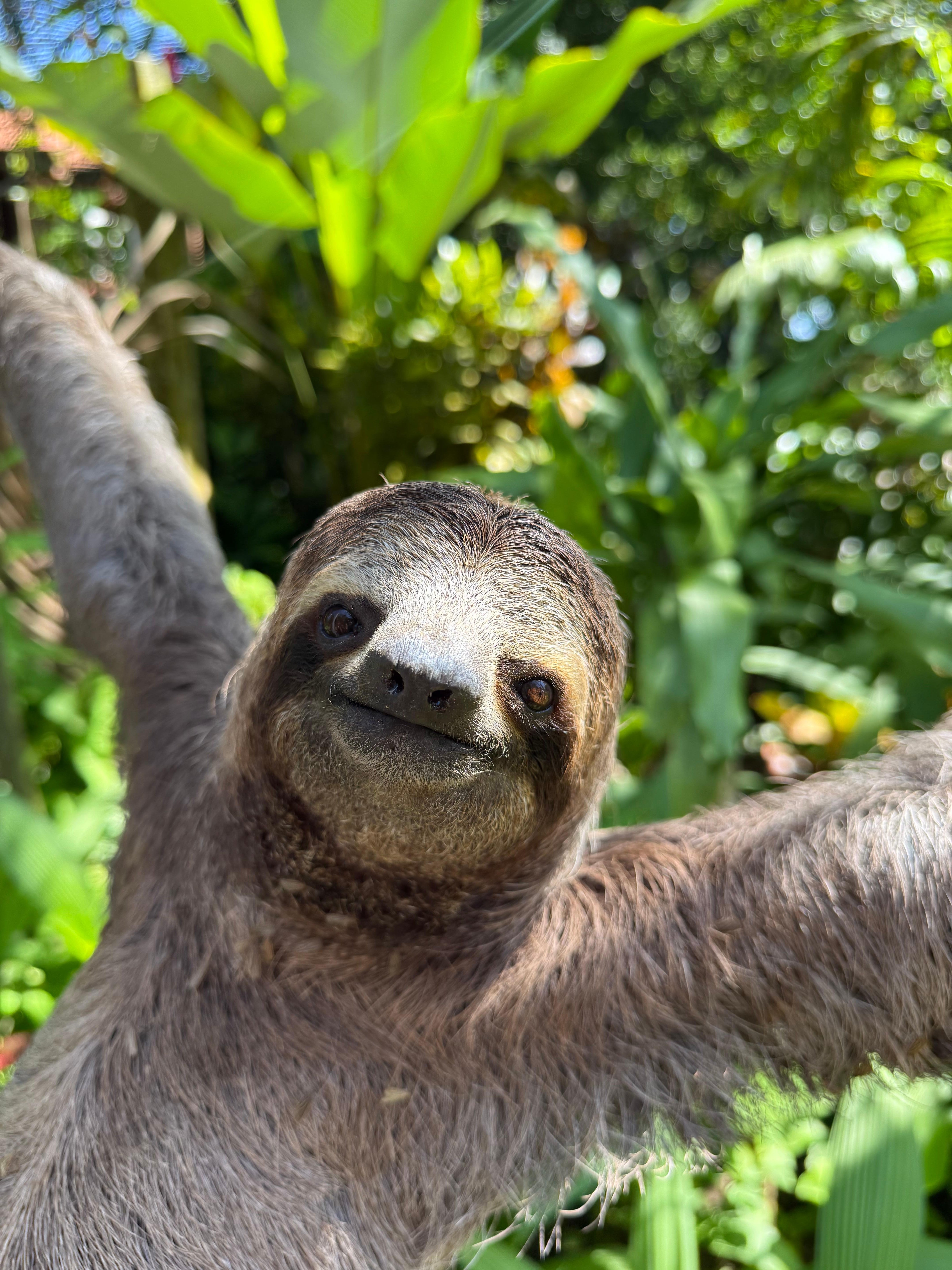 Manuel Antonio National Park: Wildlife Guided Tour with Entrance Fee