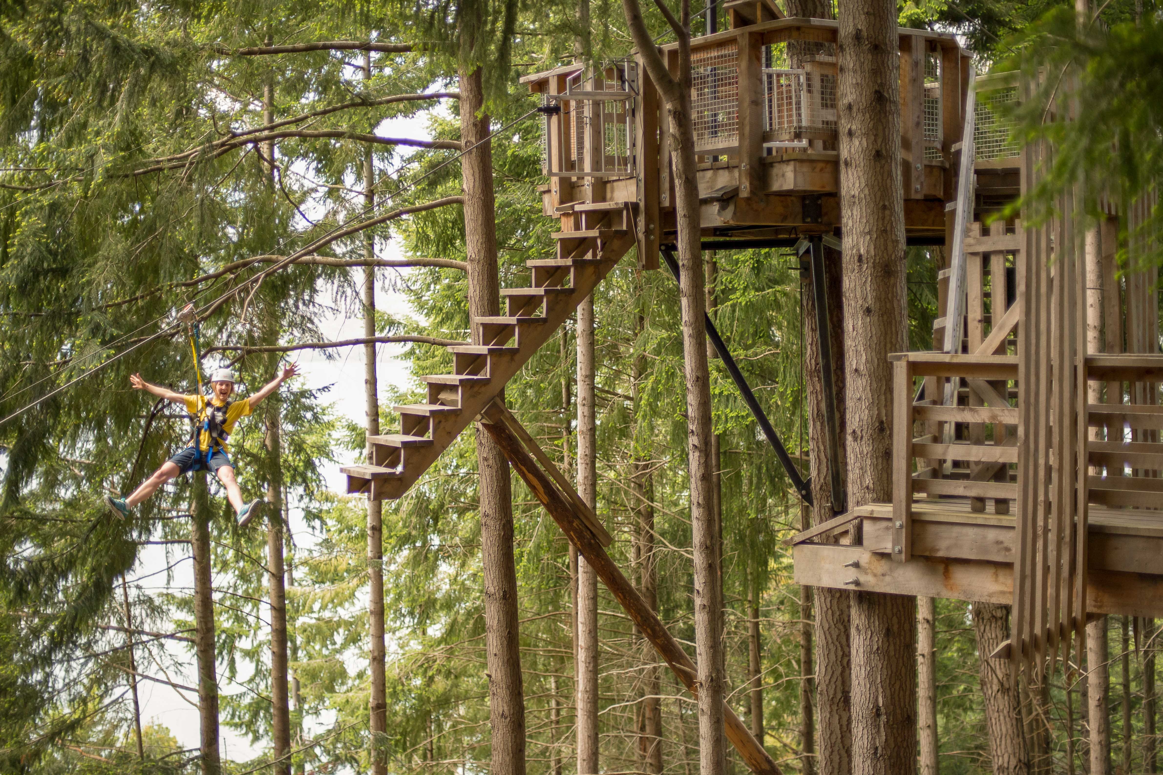 Queenstown zipline tour on Bob's Peak — image 3