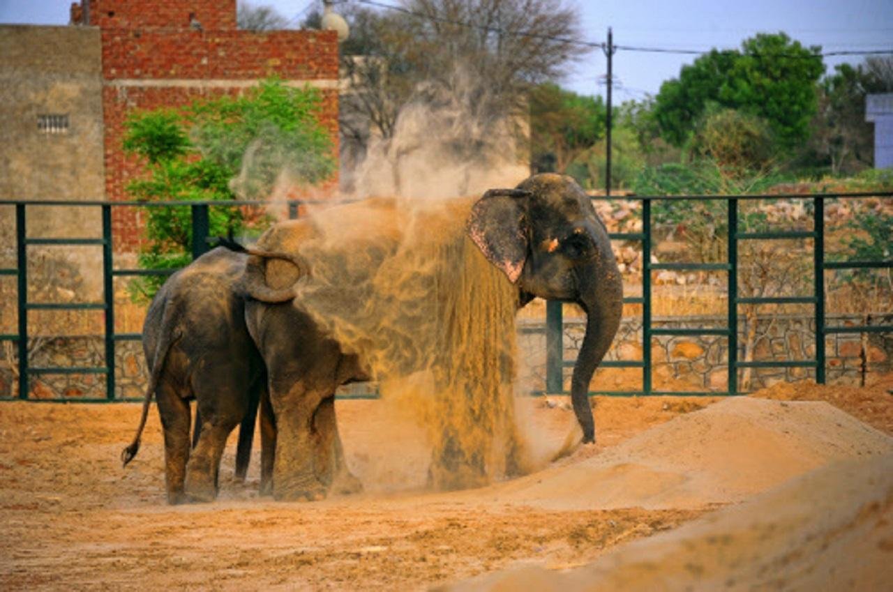 Jaipur After Dark: Private Open-Air Jeep Safari