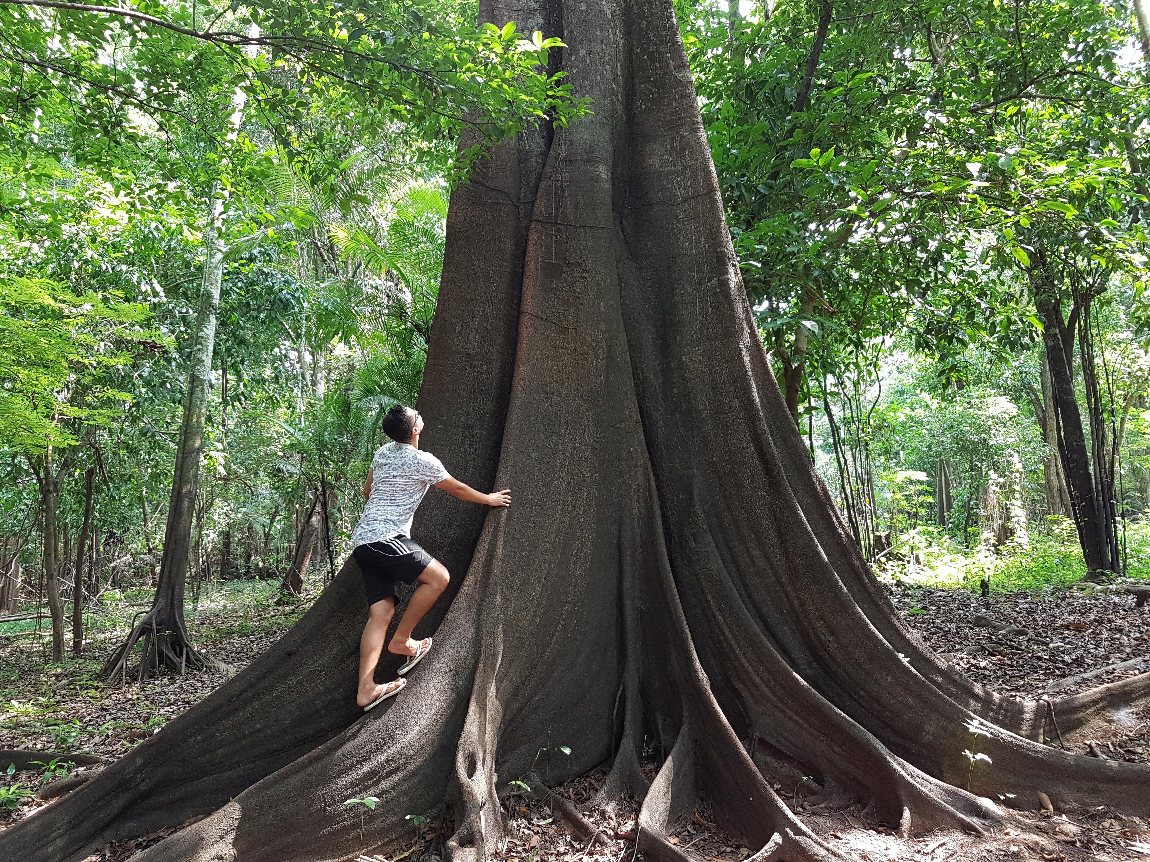 Amazon Jungle Adventure: 3 or 4 Days at Ipanema River Lodge