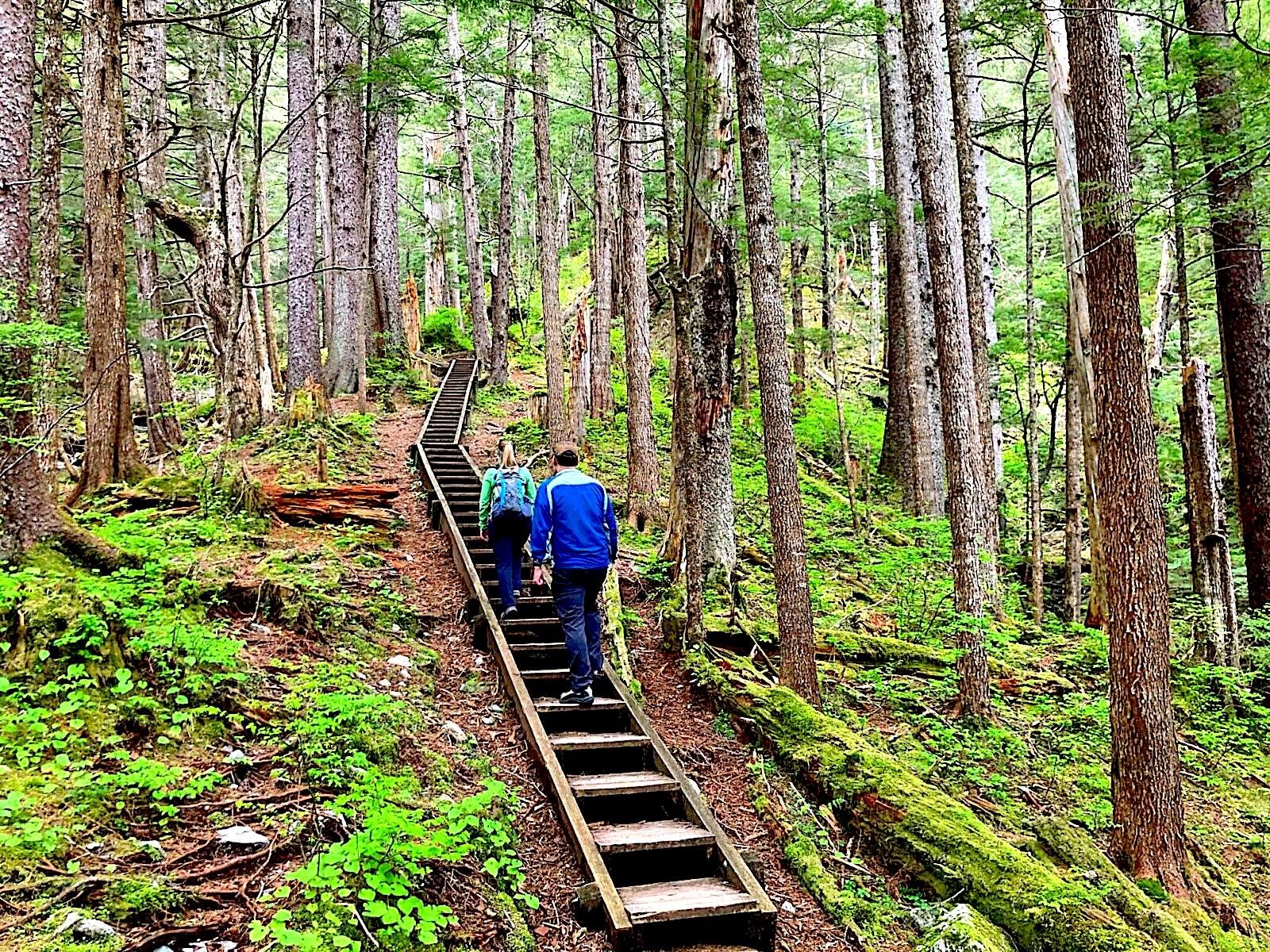 Tongass National Forest Guided Rainforest Hike