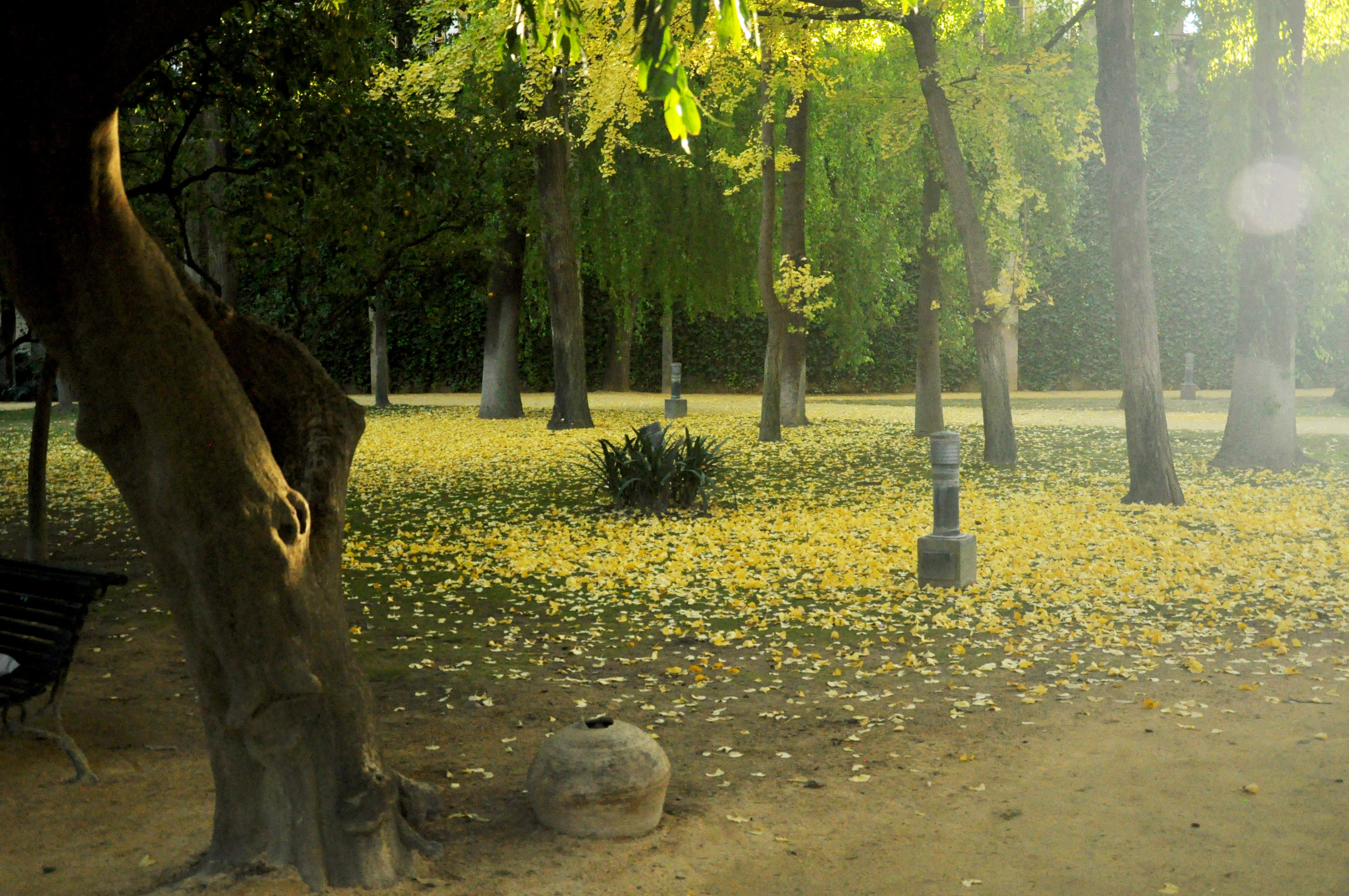 Alcázar of Seville: Skip-the-Line Guided Tour