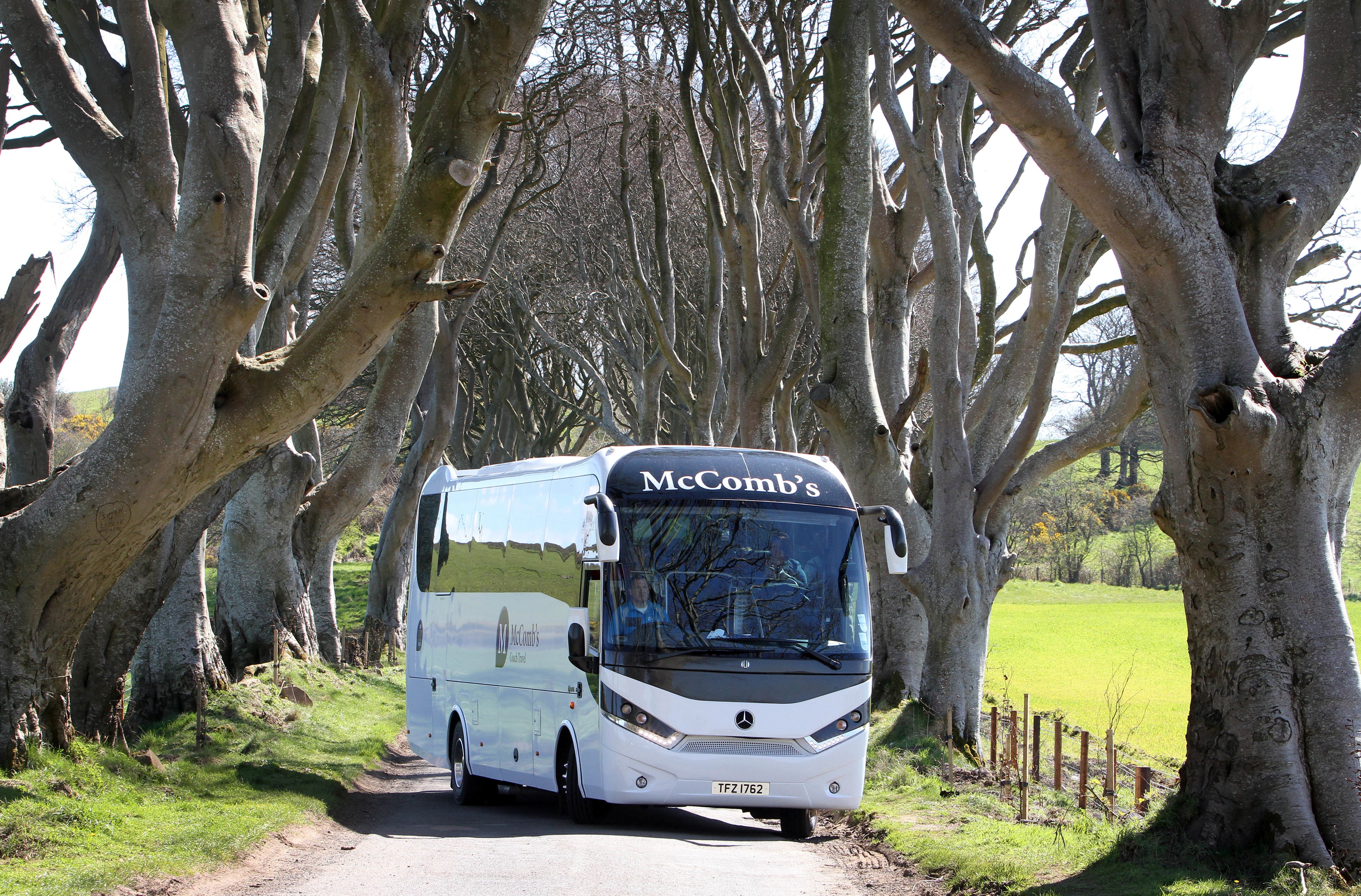 Game of Thrones & Giant's Causeway Day Tour from Belfast