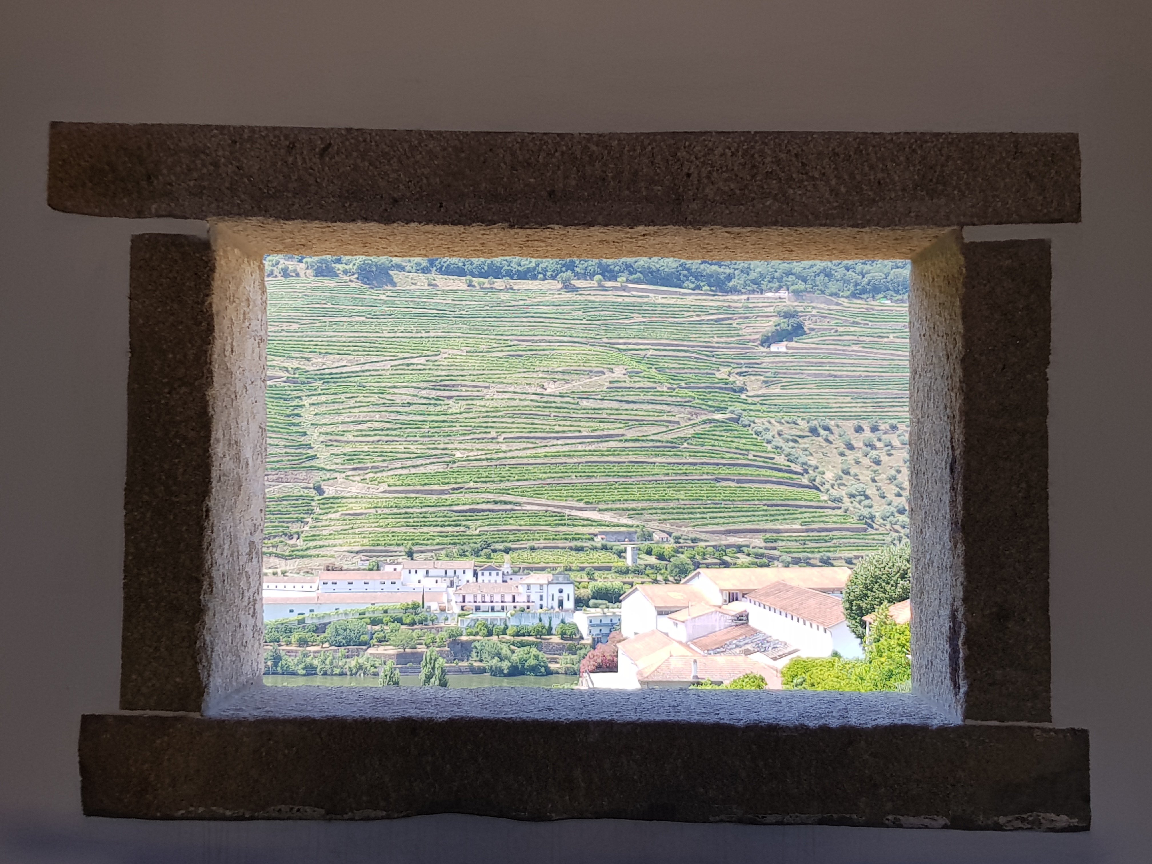 olive oil tasting in Douro Valley — photo 12