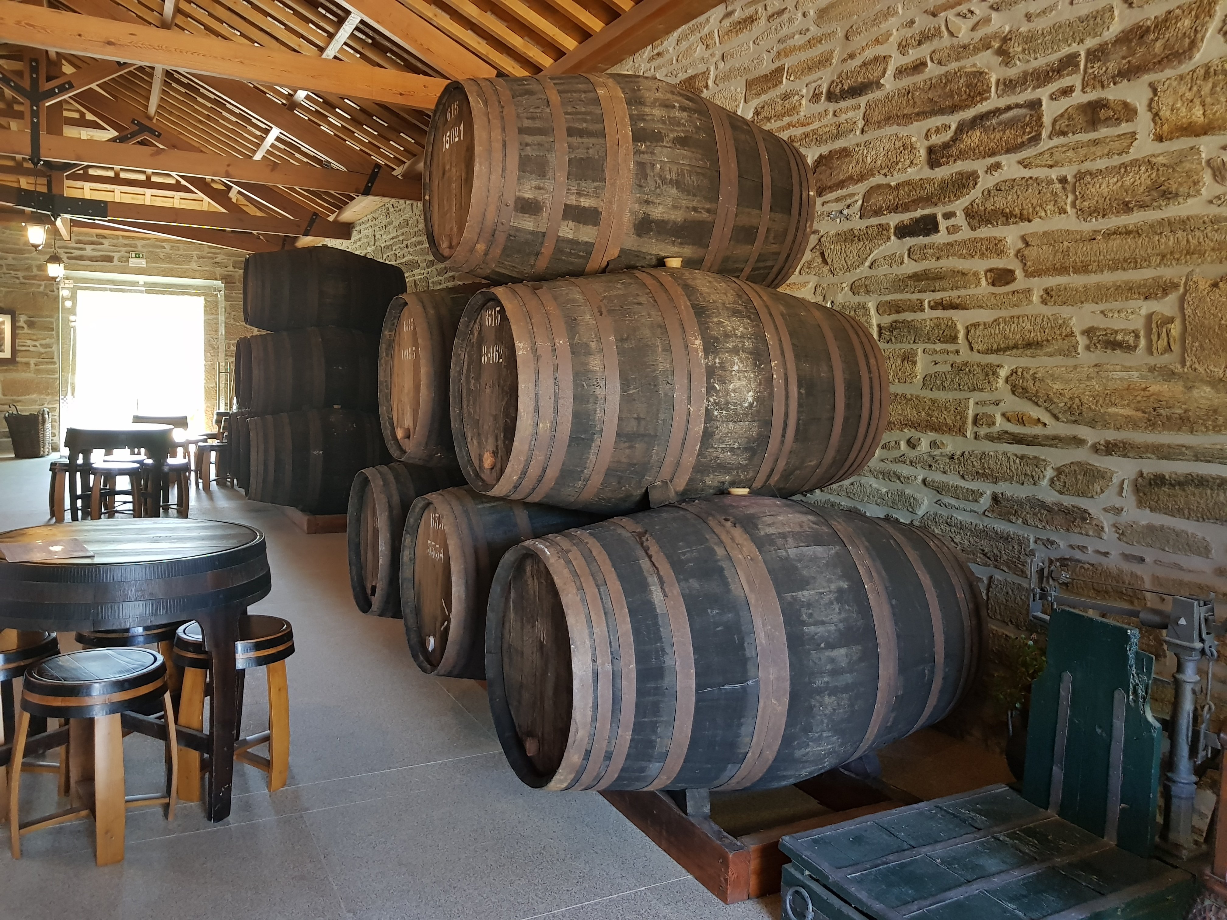 olive oil tasting in Douro Valley — photo 13
