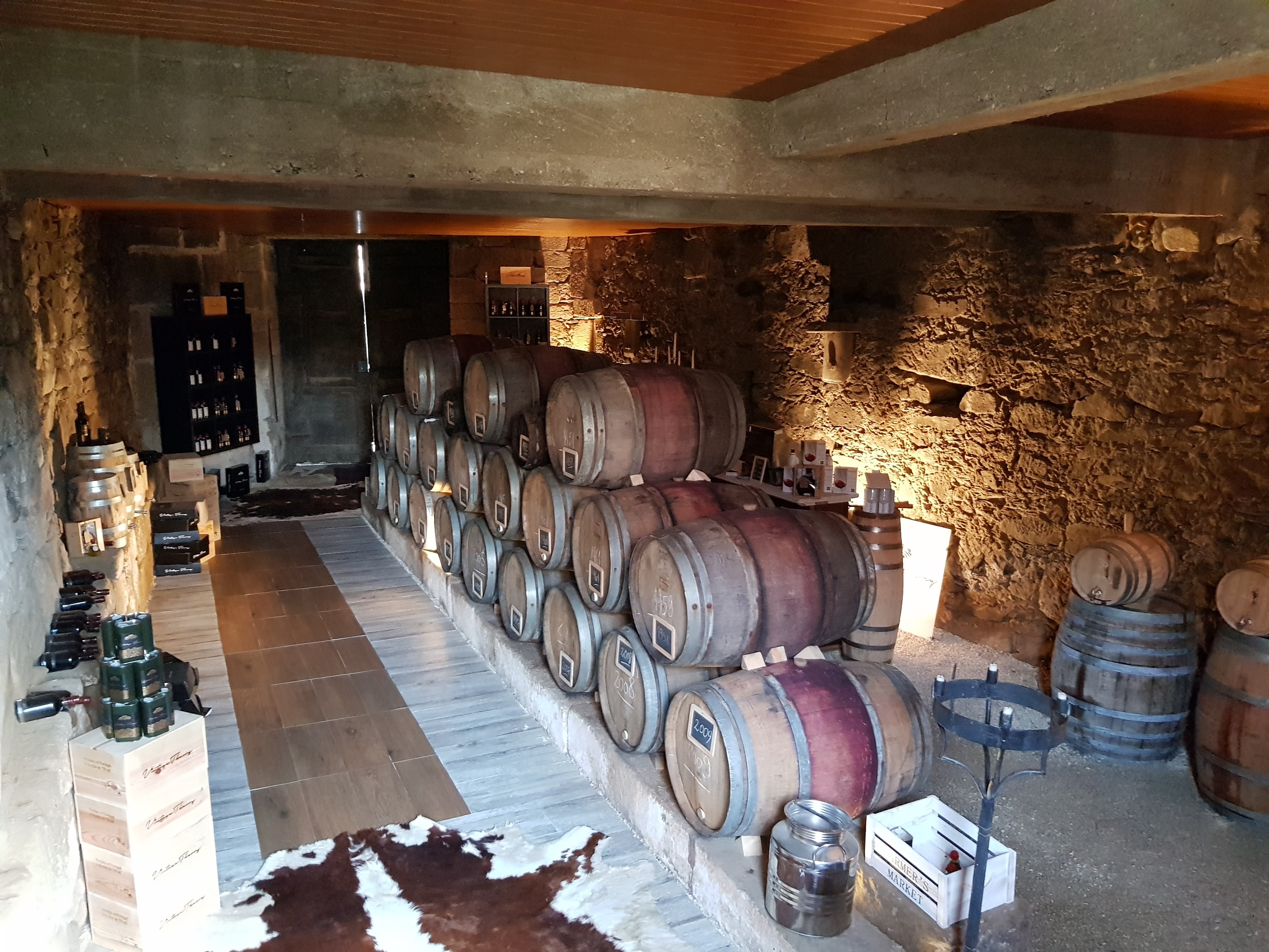 olive oil tasting in Douro Valley — photo 11