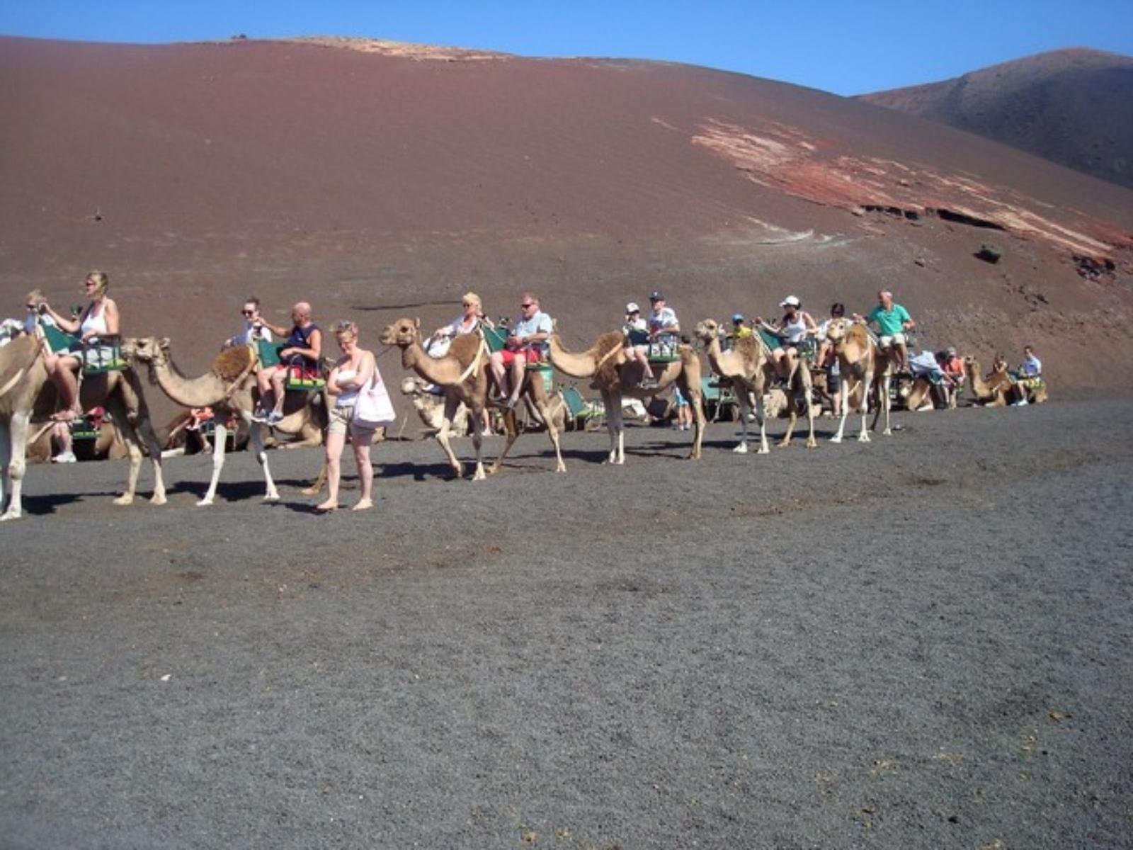 Lanzarote: Timanfaya National Park Tour