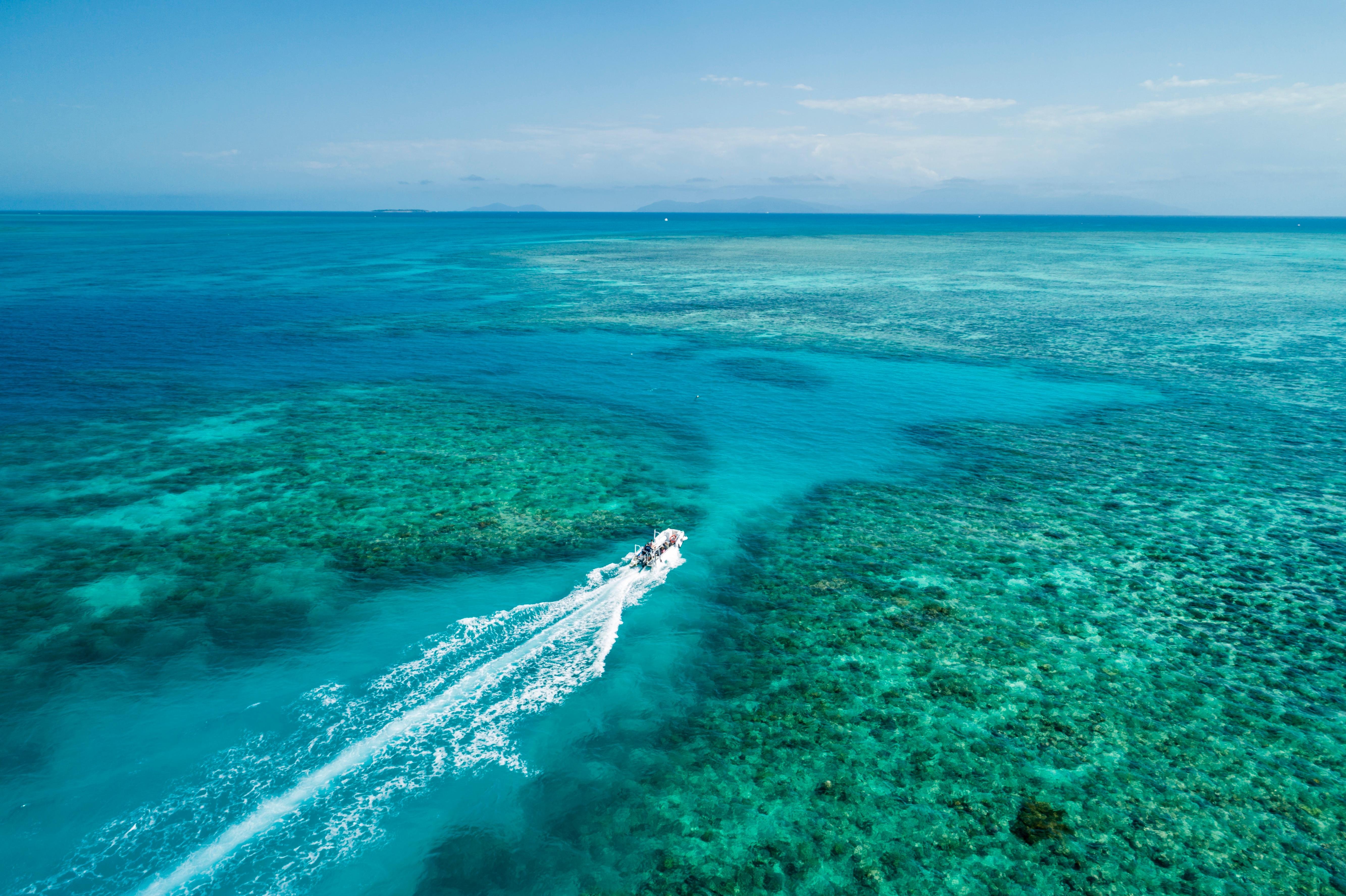 Cairns barrier reef tour to Upolu Reef — photo 4