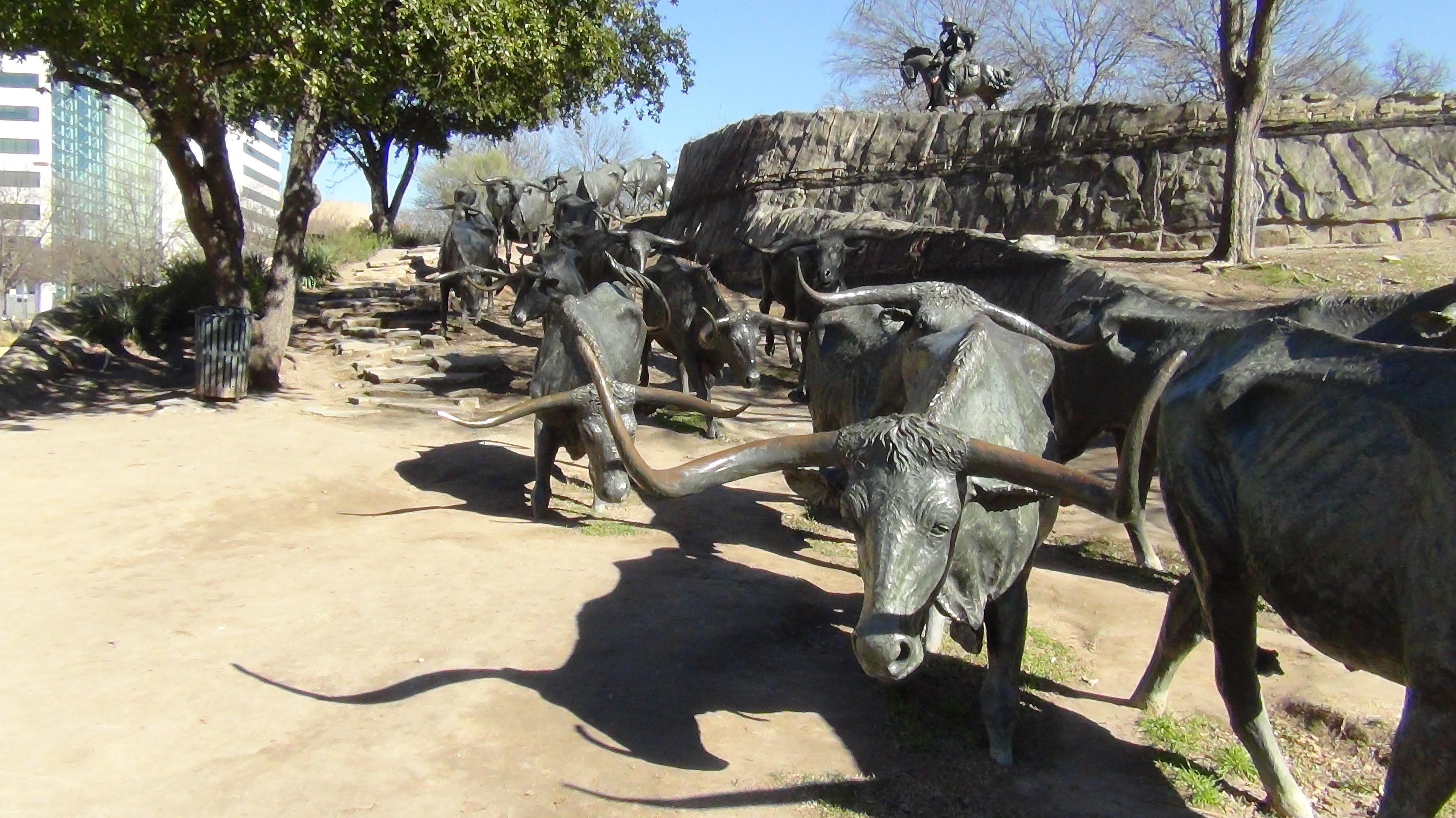 Dallas Welcome Tour: 3-Hour Small Group Van Experience