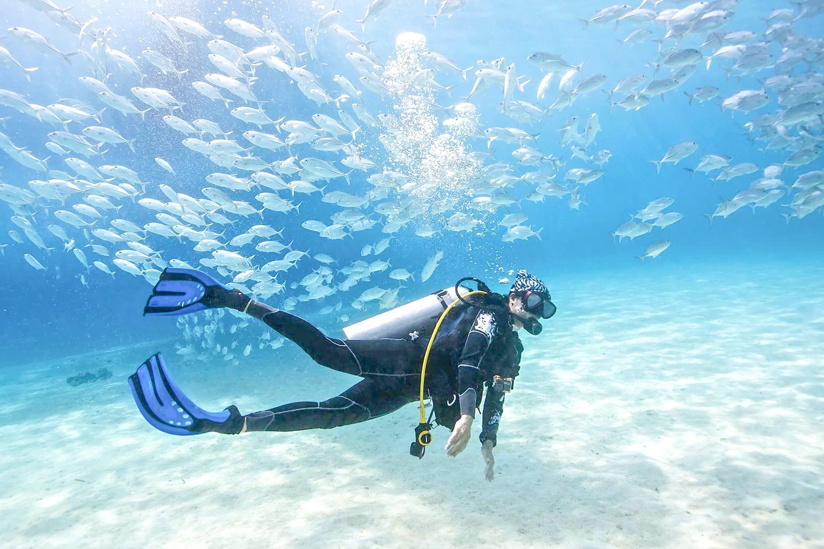 PADI Basic Scuba Diving Certification in Dubai