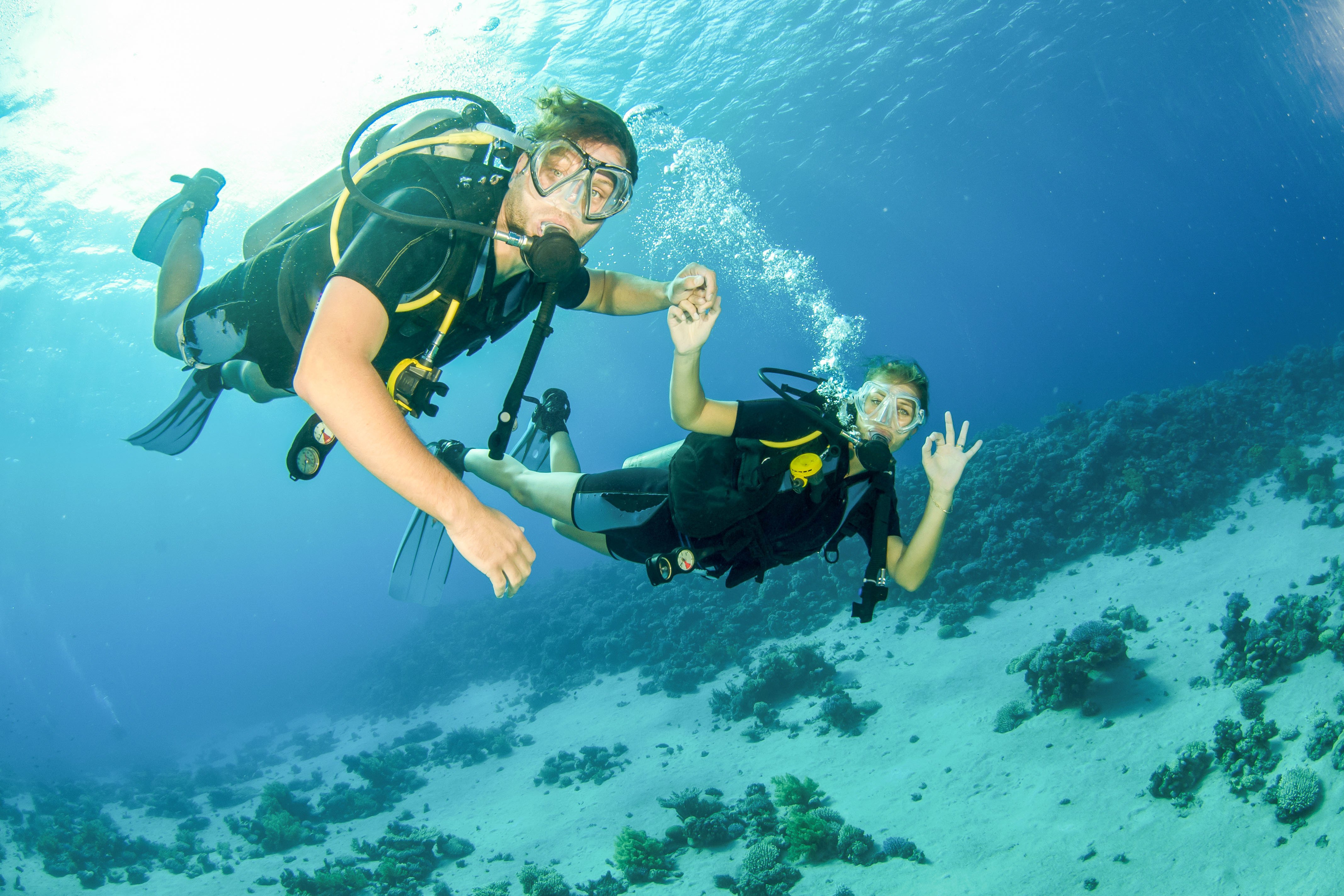 Fujairah Scuba Diving & Snorkeling Adventure from Dubai